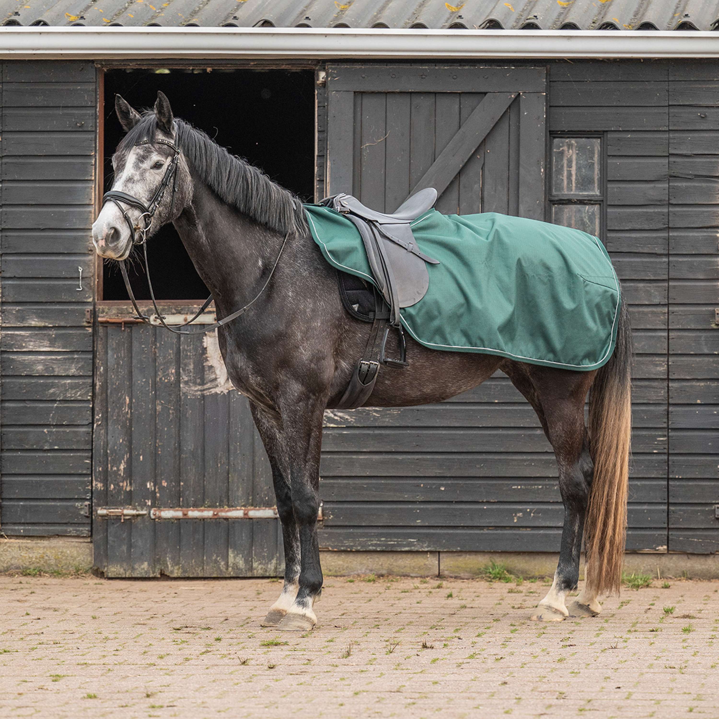 Agradi Horse Ausreitdecke 1200D Reflektierende Paspelierung Grün - Image 2
