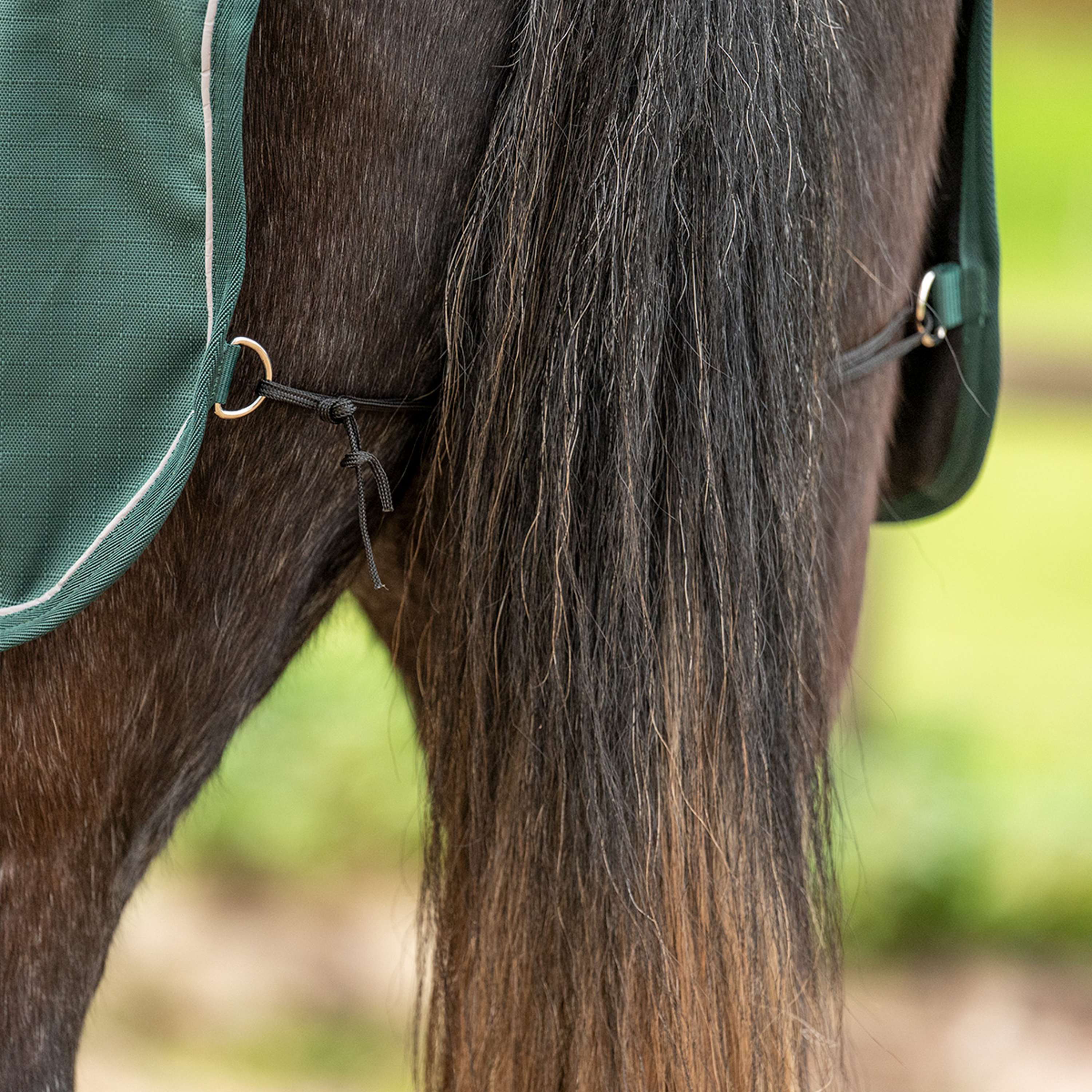Agradi Horse Ausreitdecke 1200D Reflektierende Paspelierung Grün - Image 9