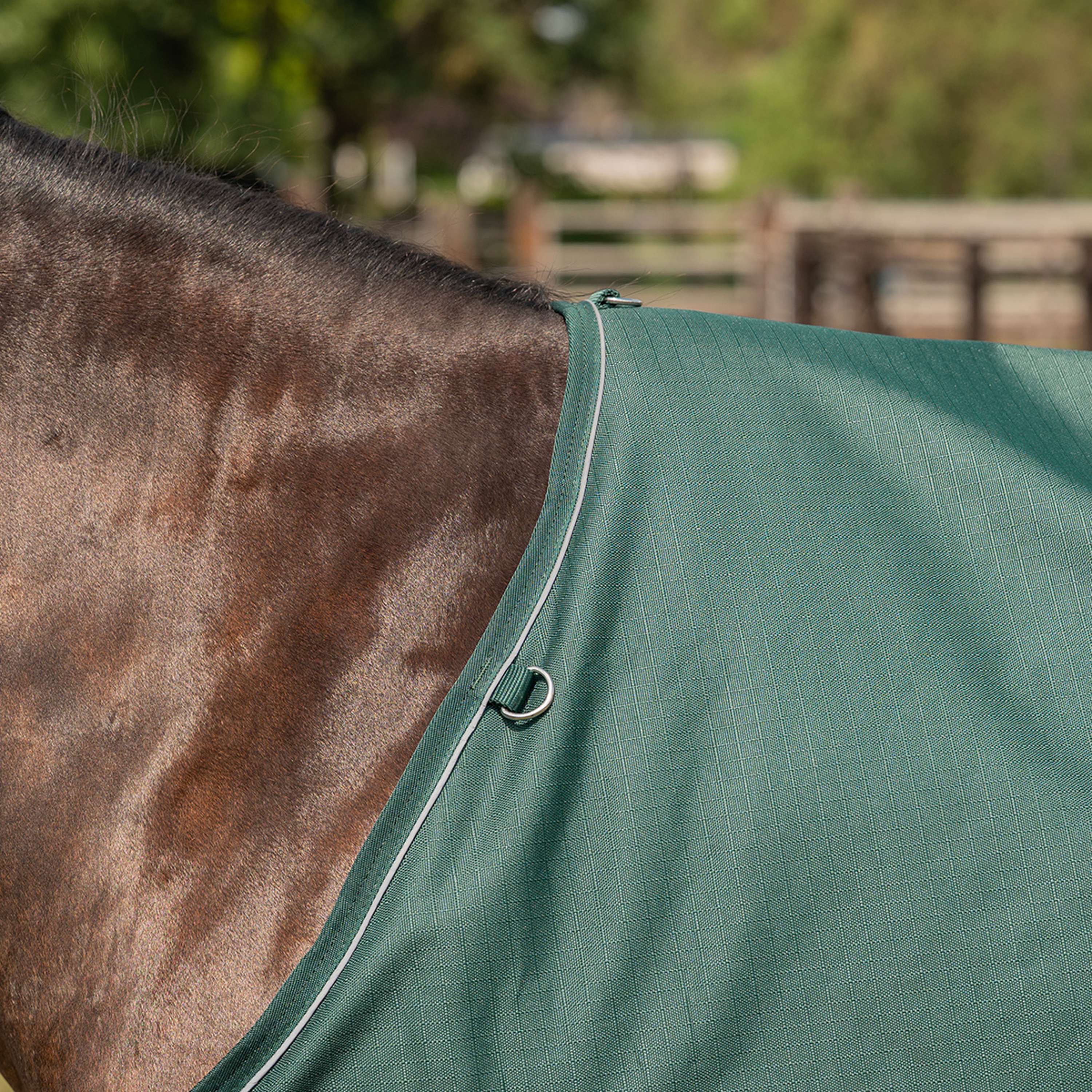 Agradi Horse Outdoordecke 1200D 0gr Reflektierende Paspelierung Grün - Image 4