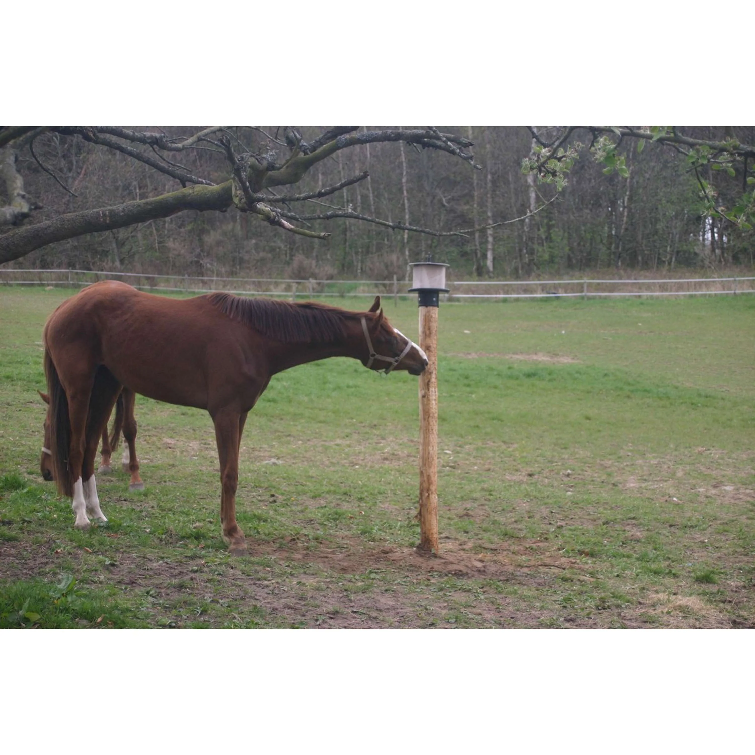 Agradi Lecksteinhalter für Pfahl Kunststoff für 10kg - Image 3