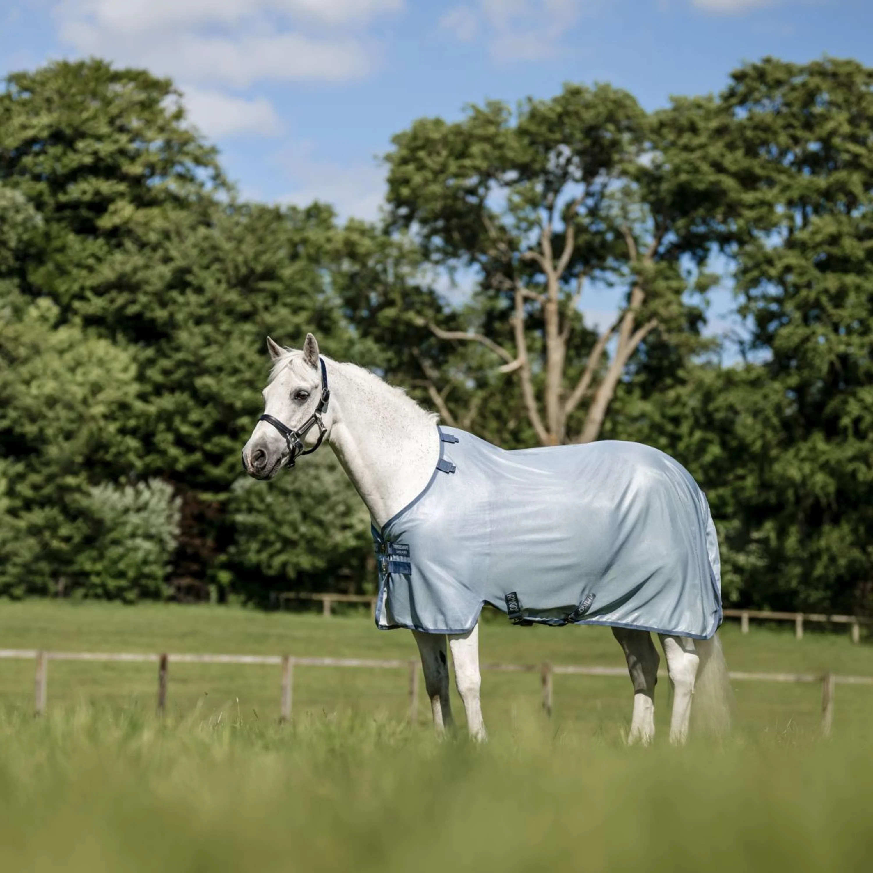 Amigo Bug Rug Pony Heather Blue/Blue/Silver - Image 7