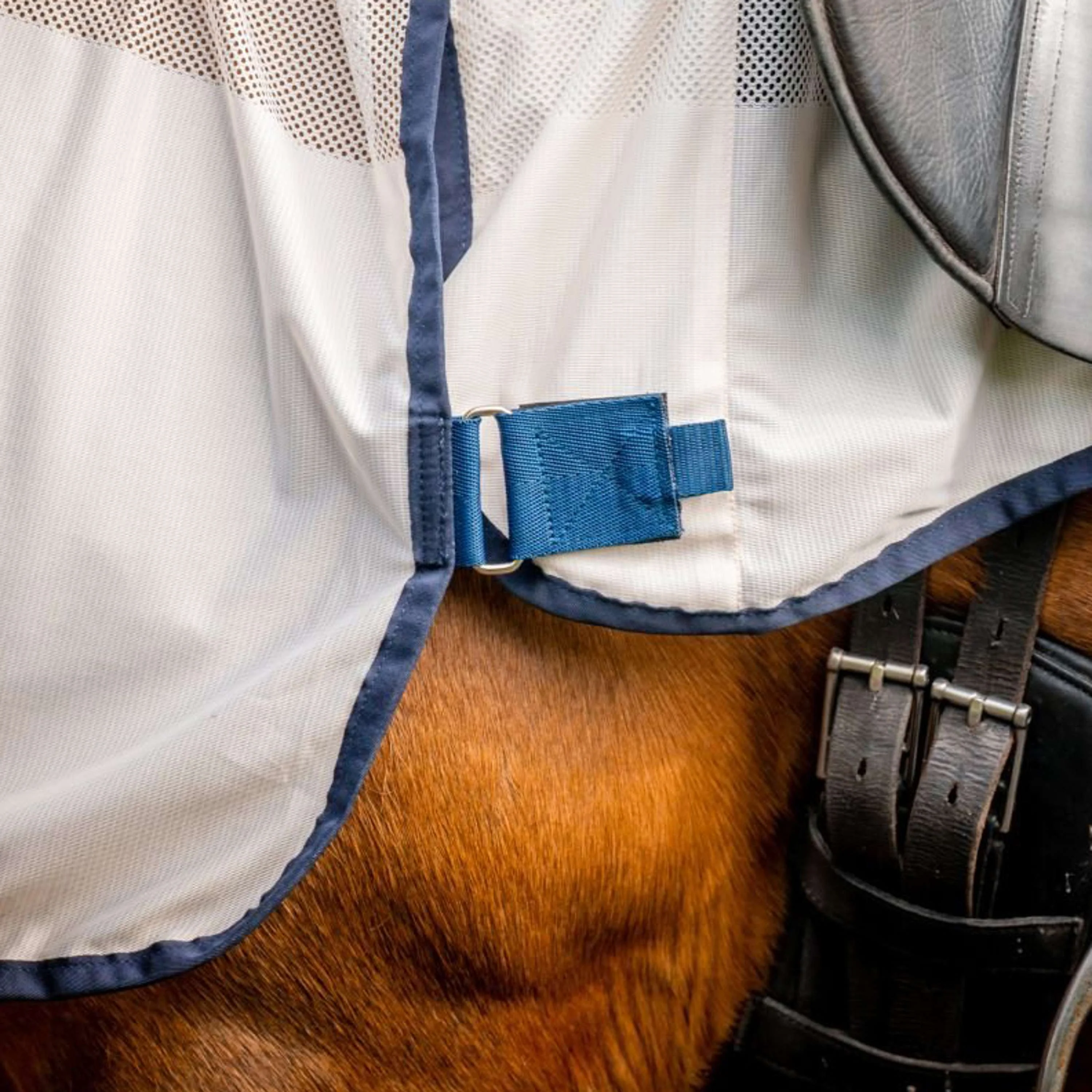 Amigo Flyrider Chalk/Navy - Image 6