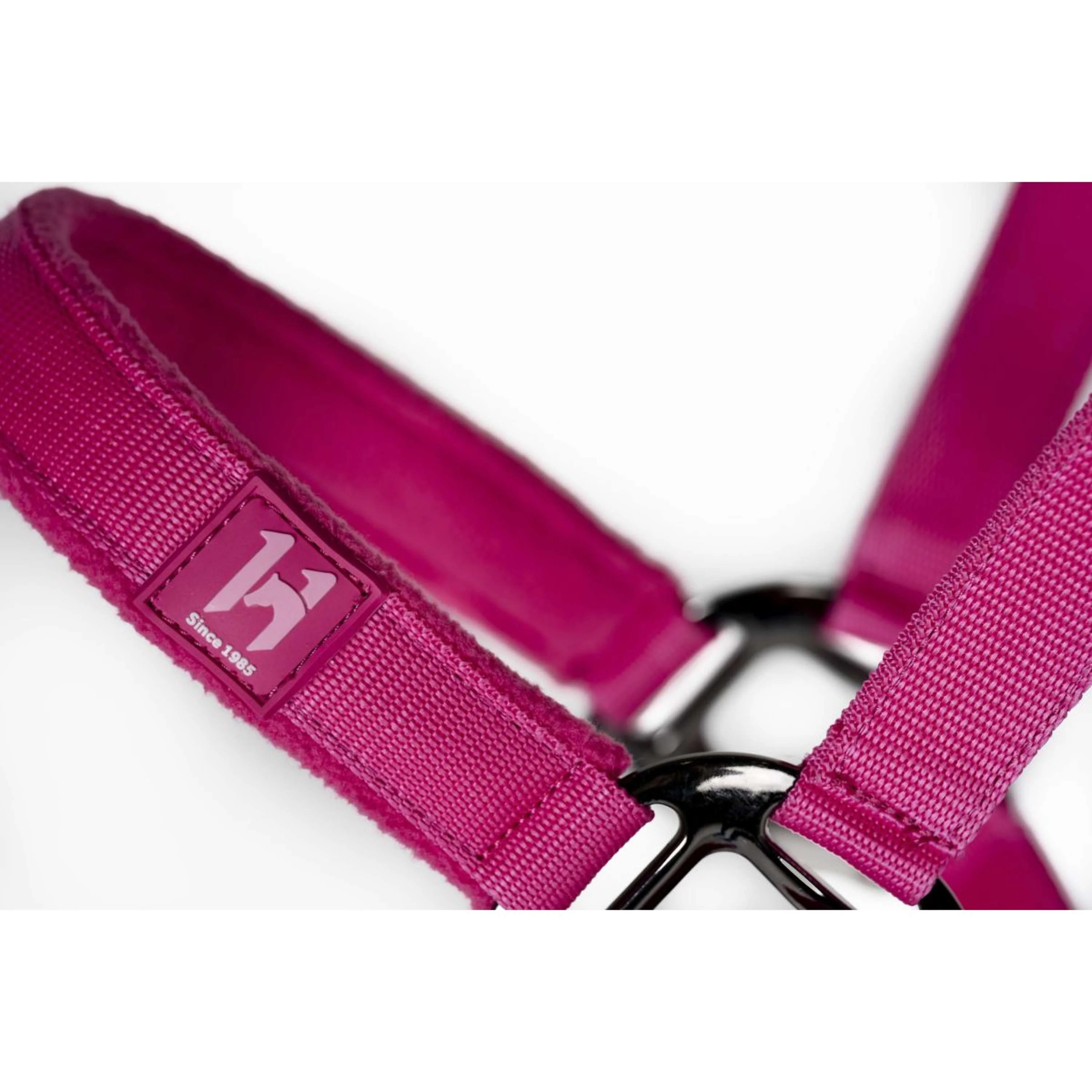 Amigo Halfter & Strick Newmarket Witney Pink - Image 4