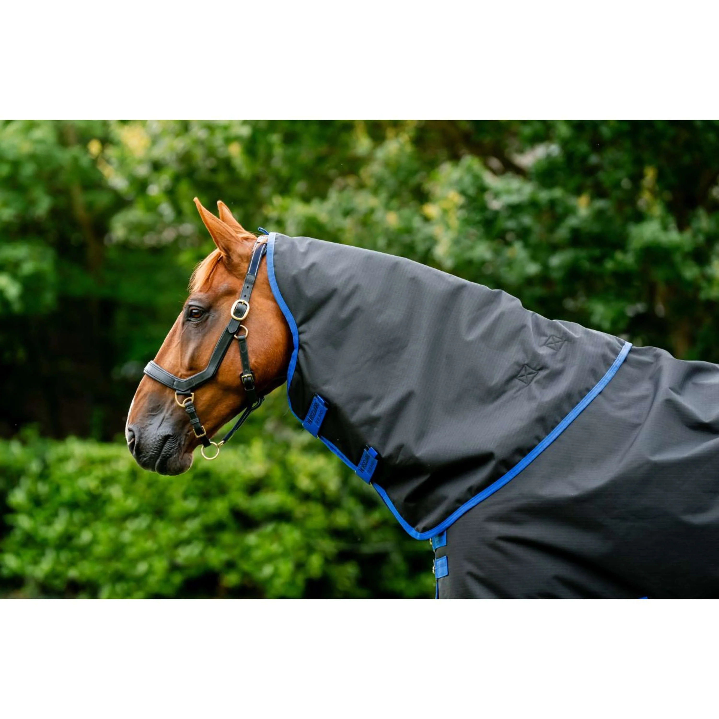 Amigo Halsstück Ripstop 900D 150g Black/Classic Blue