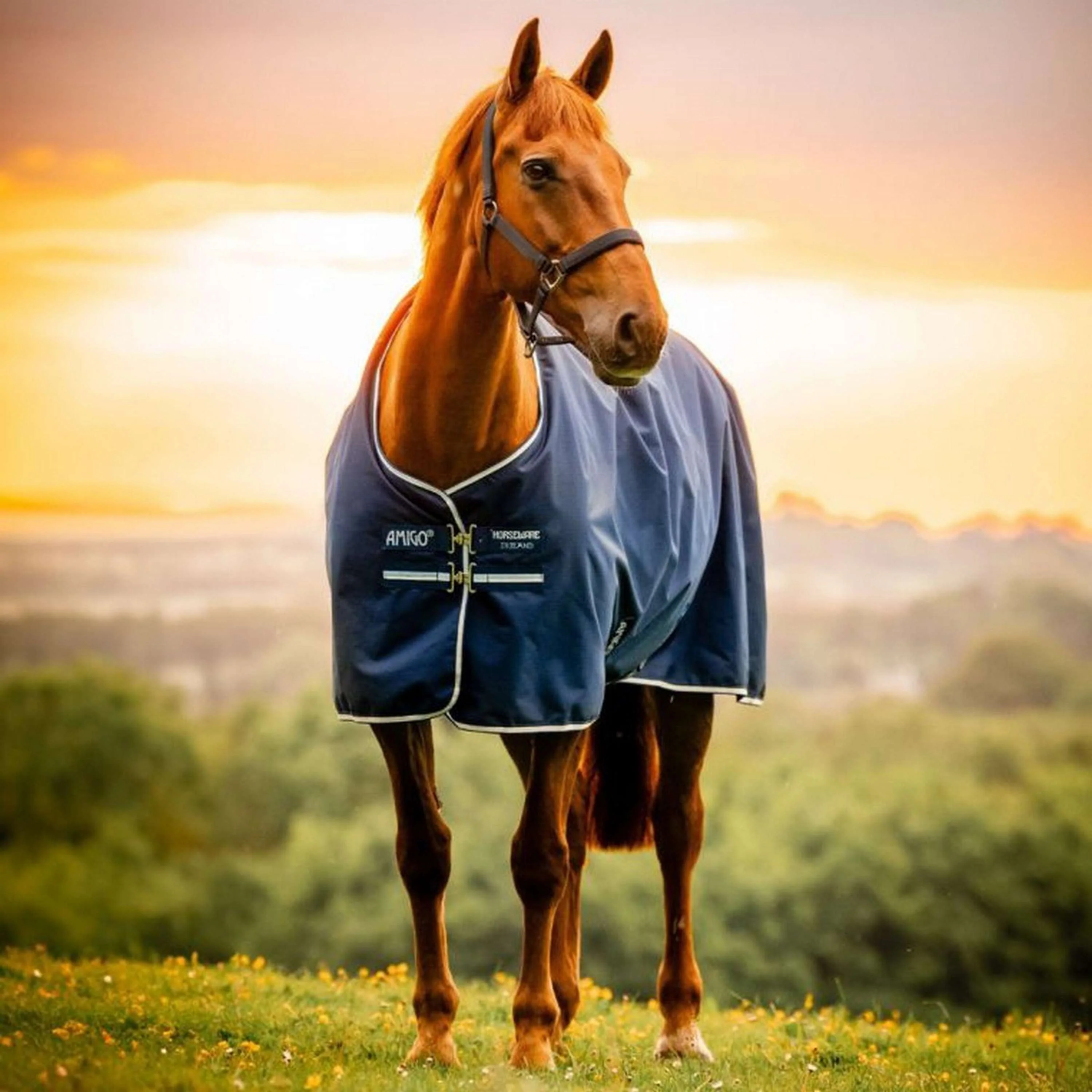 Amigo Ripstop 900D Pony 0g Witney Navy - Image 3