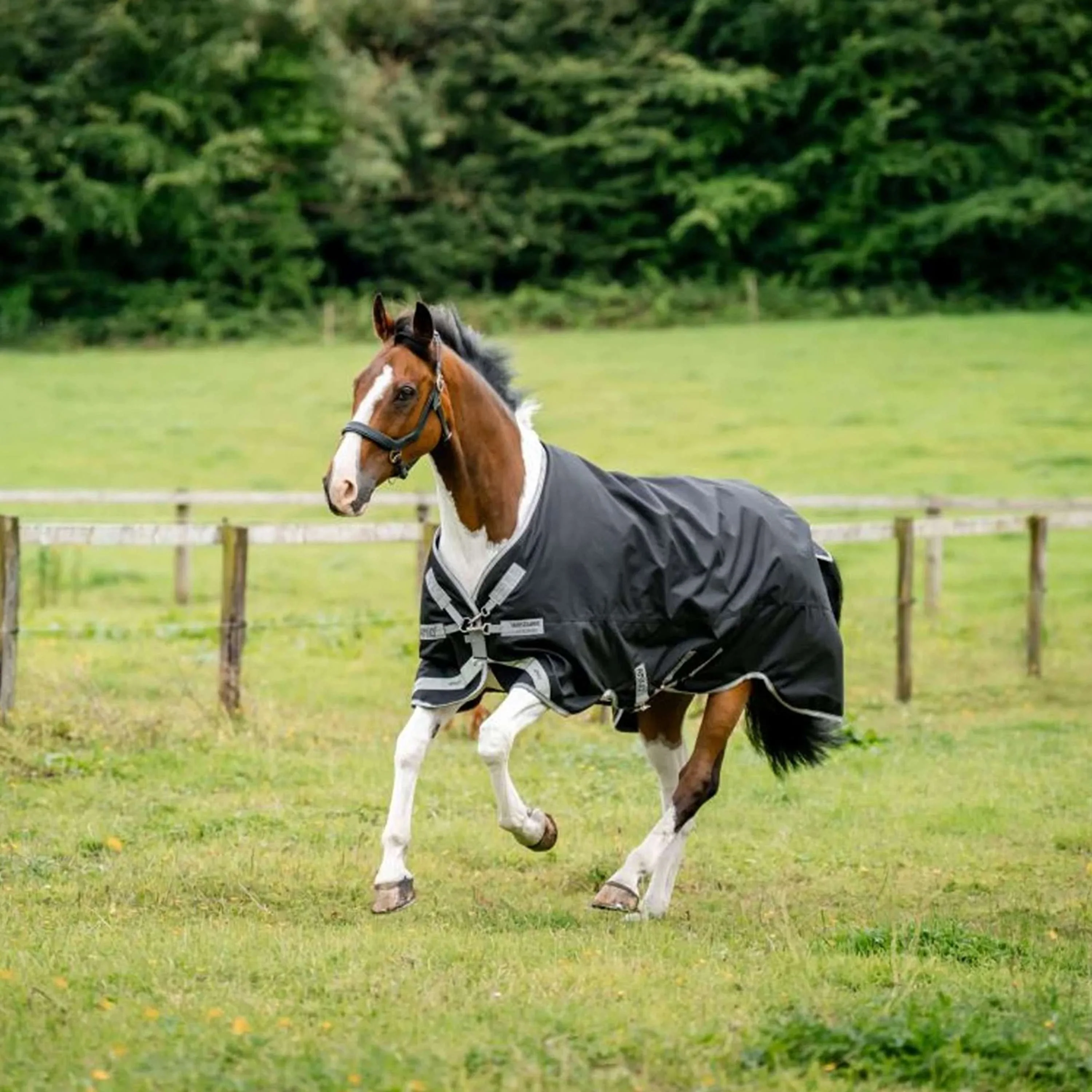 Amigo Turnout 1200D XL 50g Schwarz/Titangrau/Silber