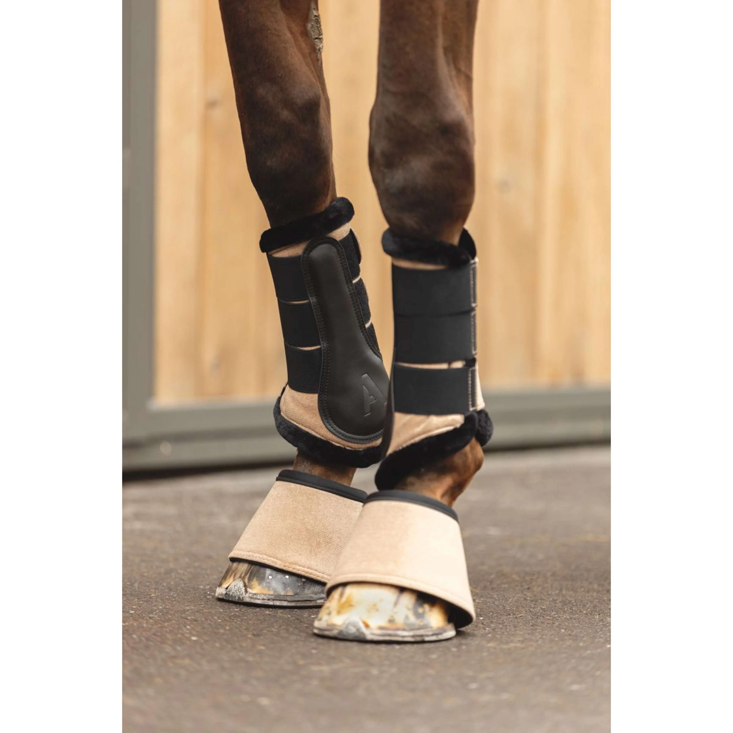 ANKY Hufglocken AW25 Amphora - Image 2