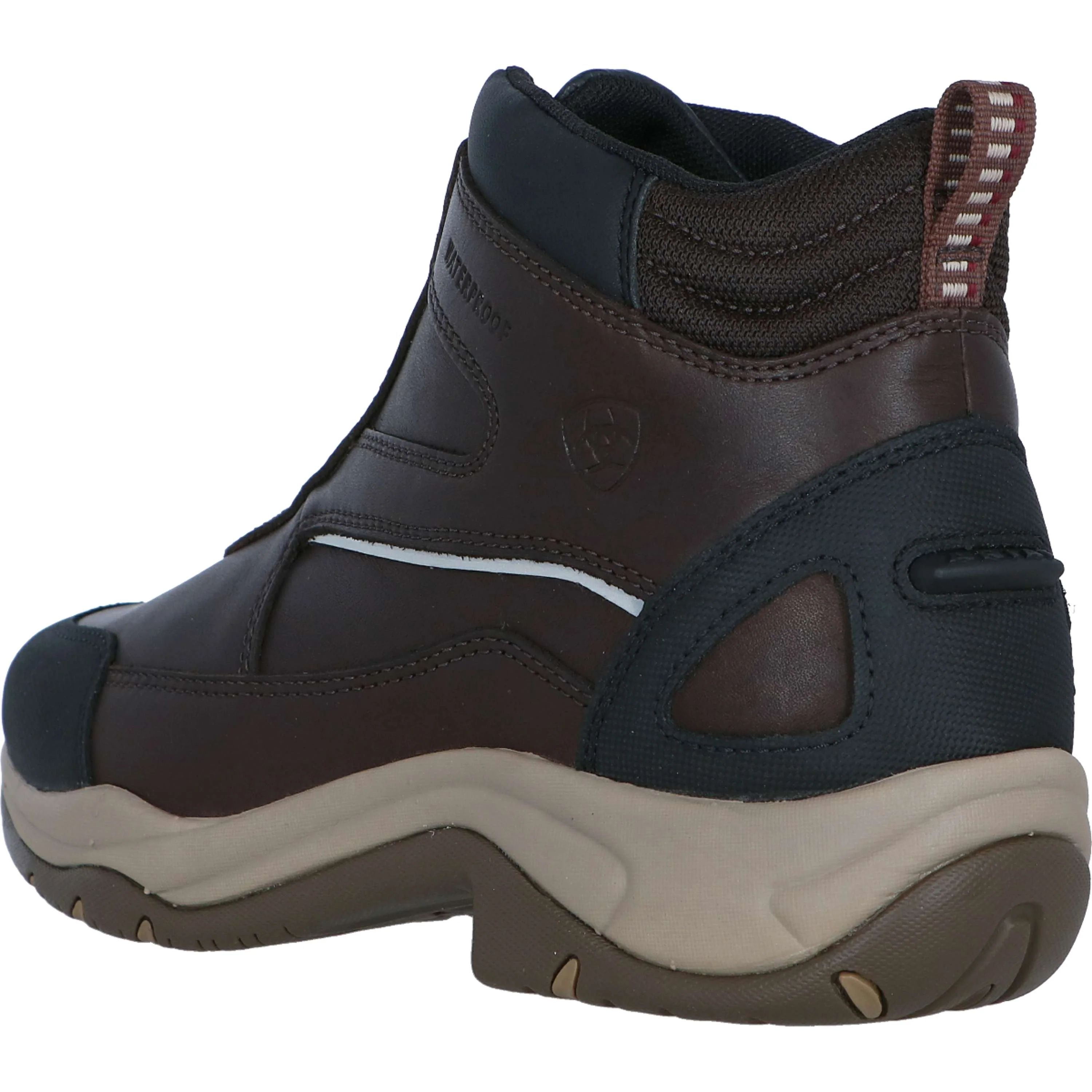 Ariat Stallschuhe Telluride Zip H2O Woman's Dunkel Braun - Image 3