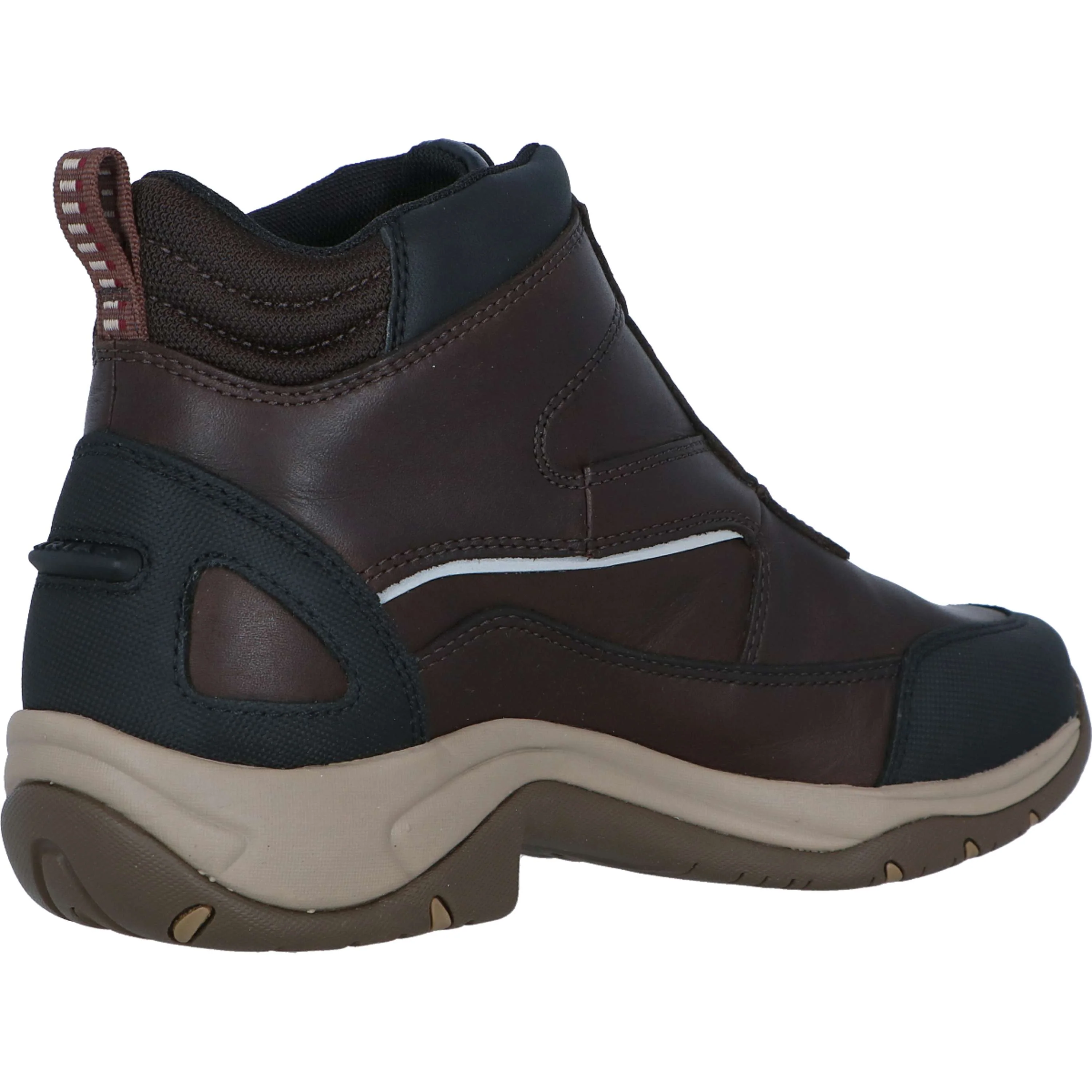 Ariat Stallschuhe Telluride Zip H2O Woman's Dunkel Braun - Image 5