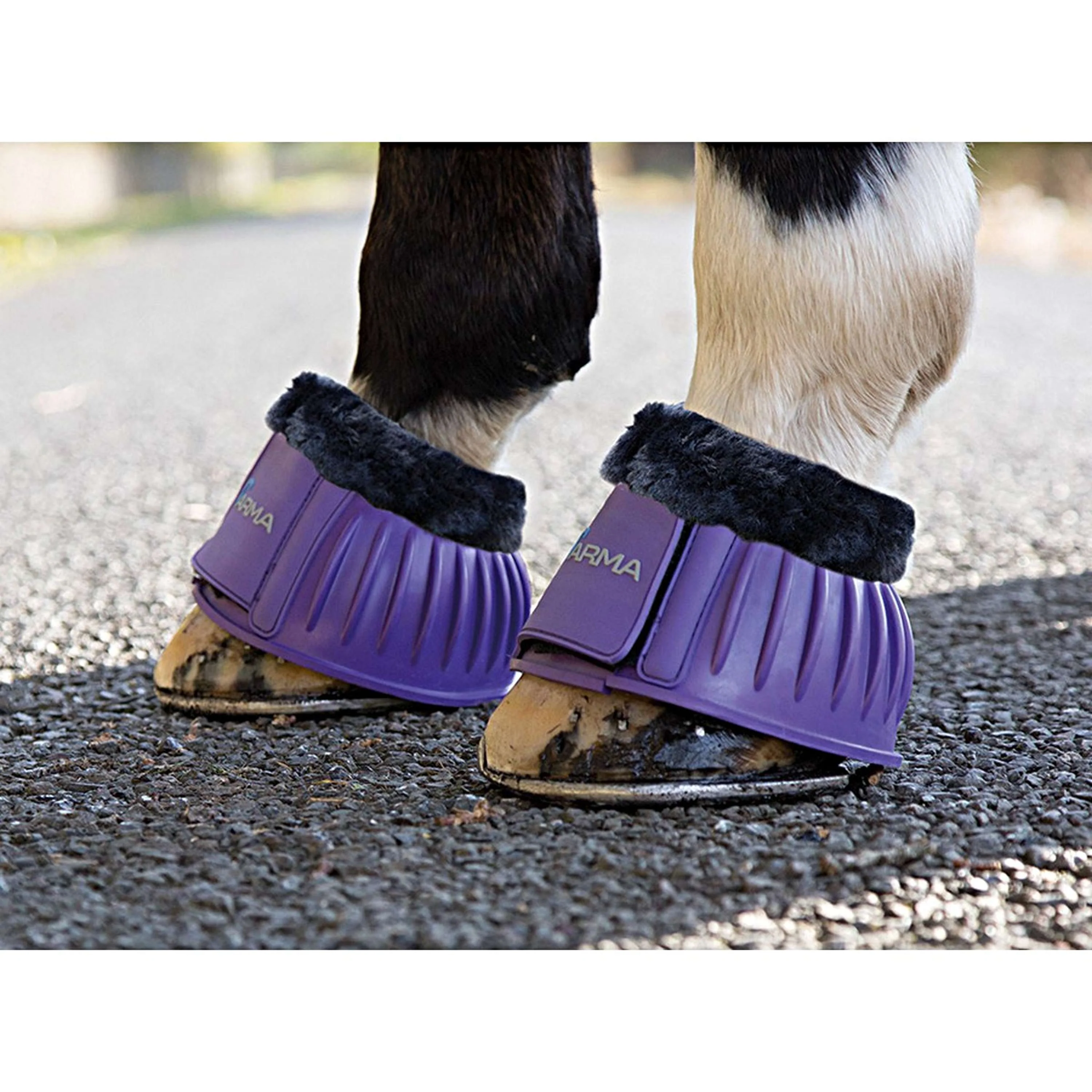Arma by Shires Hufglocken Schwarzes Fleece Lila - Image 4