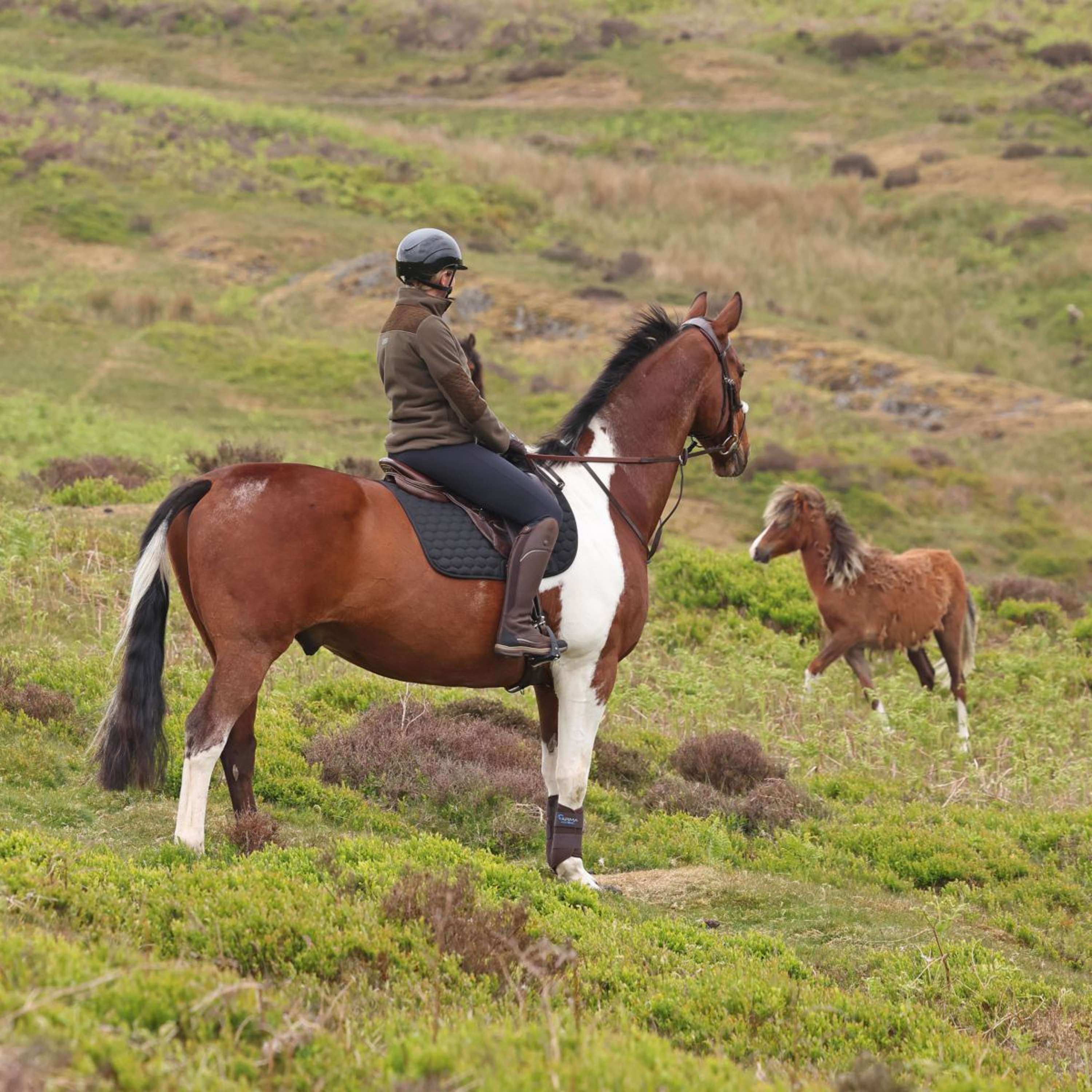 Aubrion by Shires Pullover Heritage Fleece Dunkelolive - Image 18