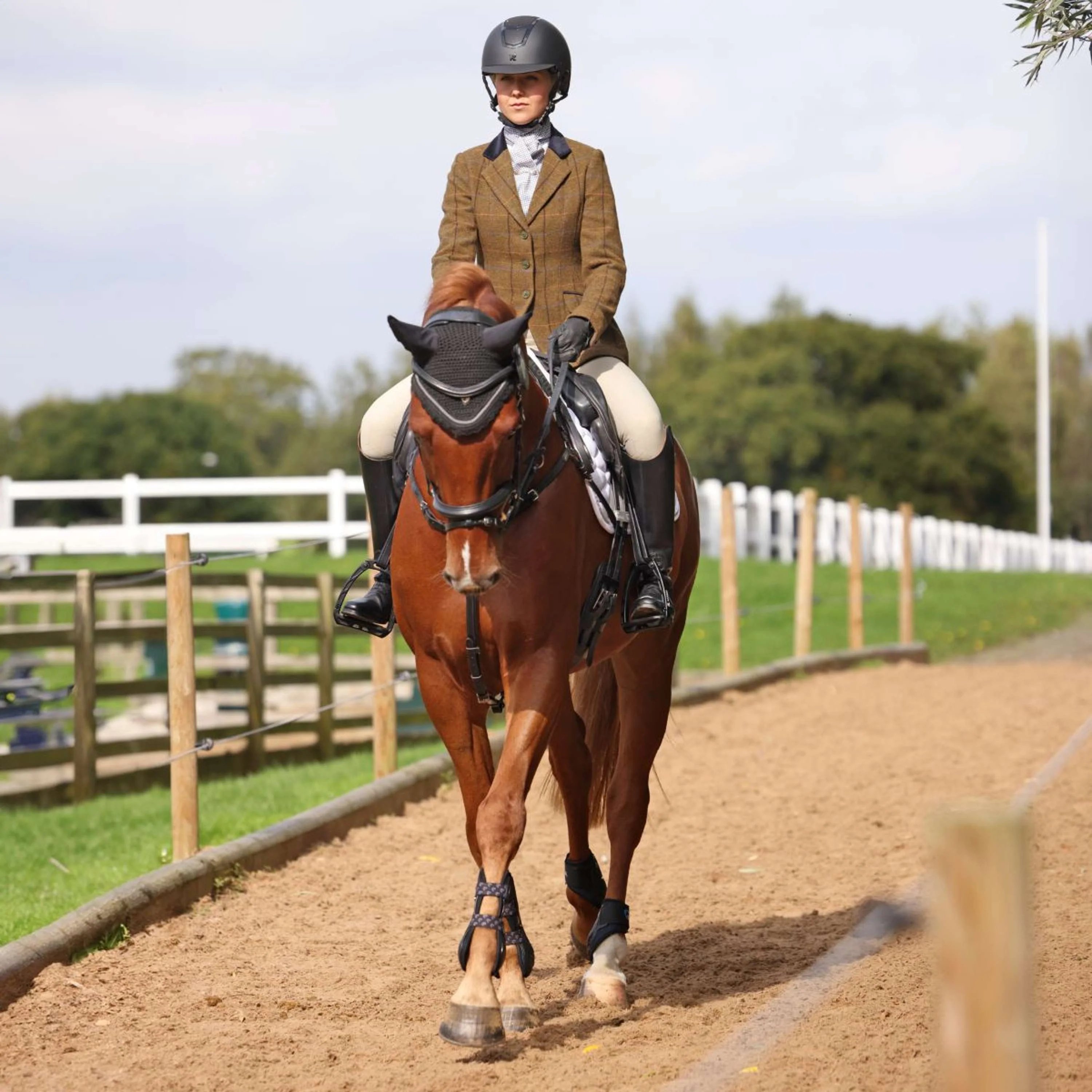 Aubrion by Shires Turnierjacket Saratoga Eichenbraun Check - Image 3
