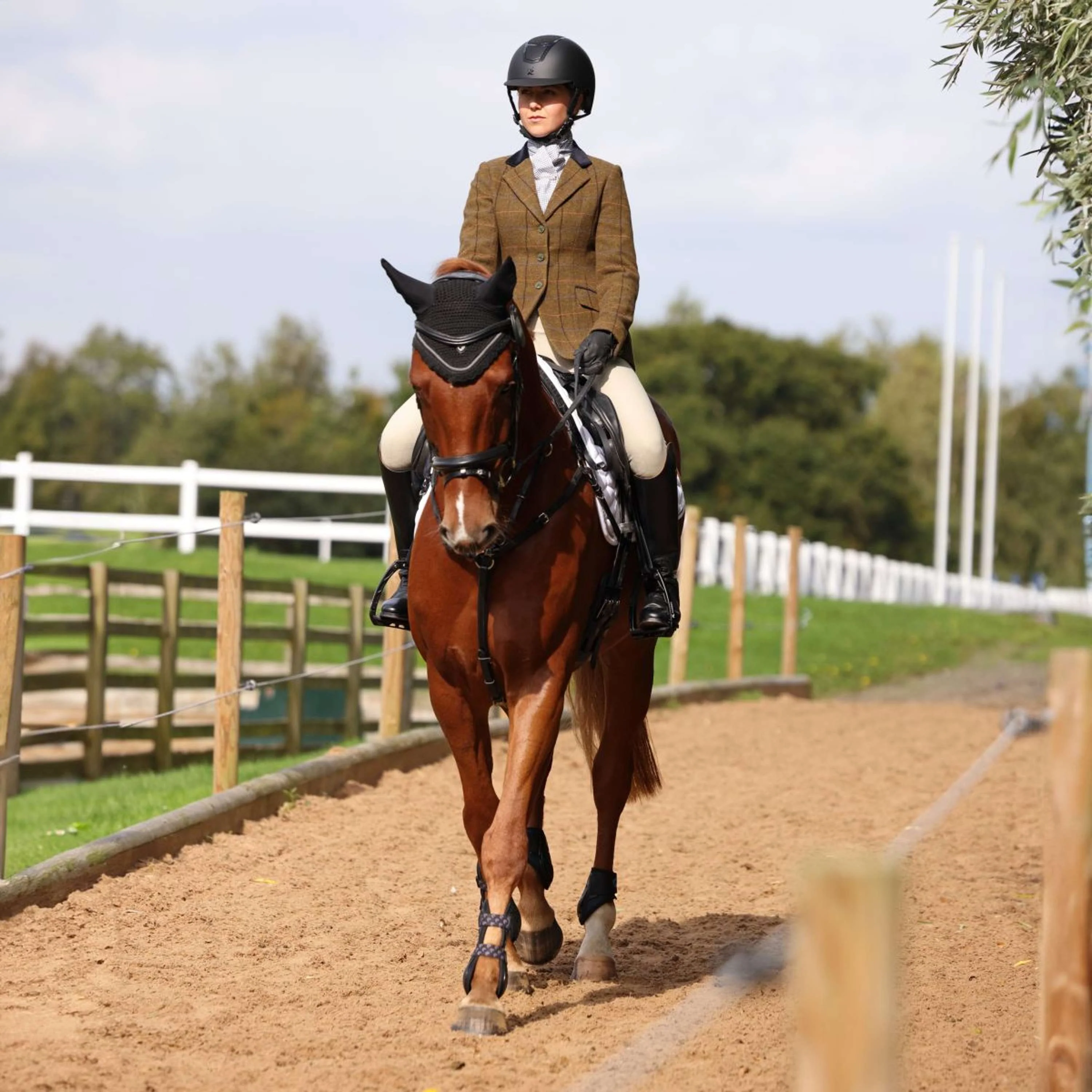 Aubrion by Shires Turnierjacket Saratoga Eichenbraun Check - Image 4