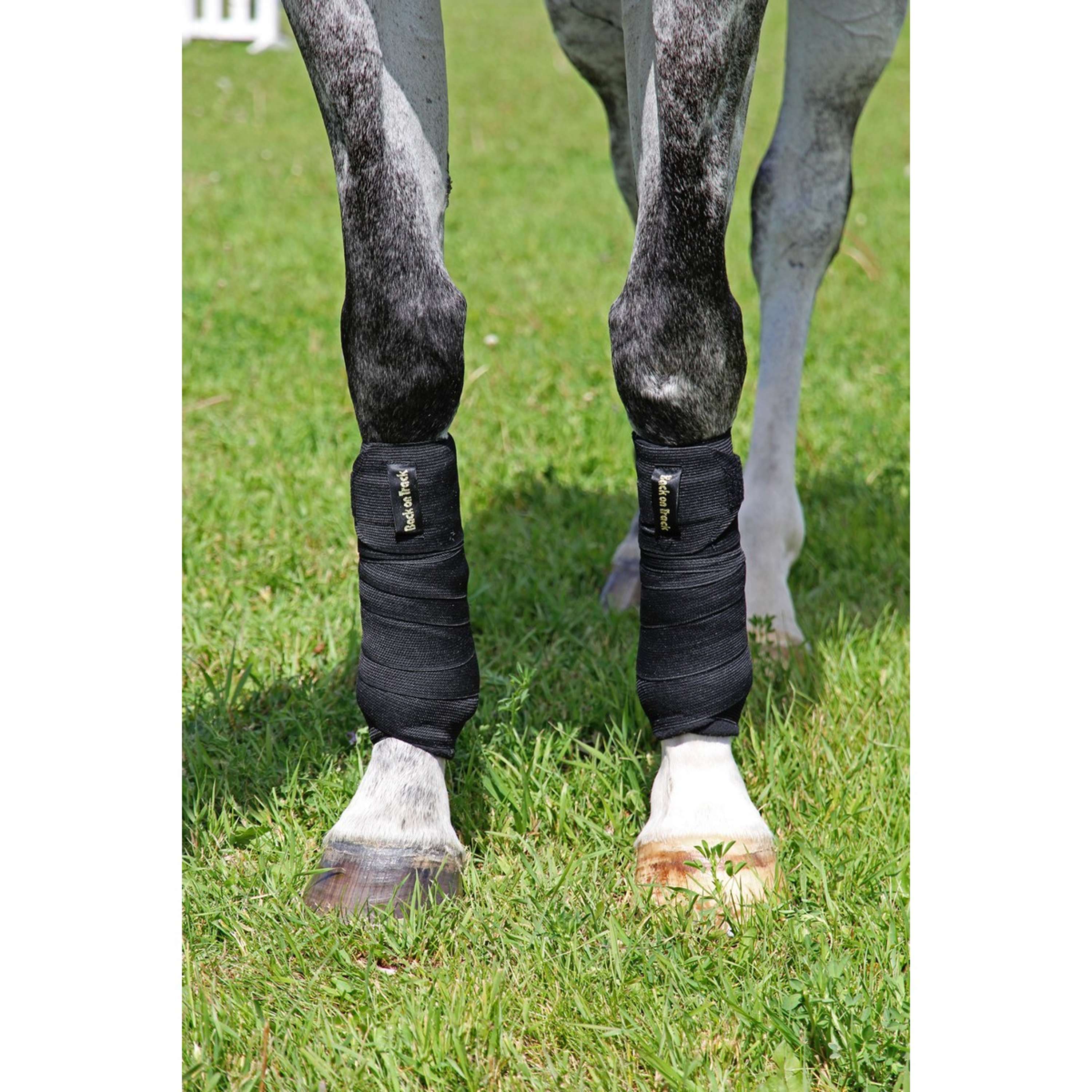 Back on Track Bandagen Combi pro Paar Schwarz - Image 3