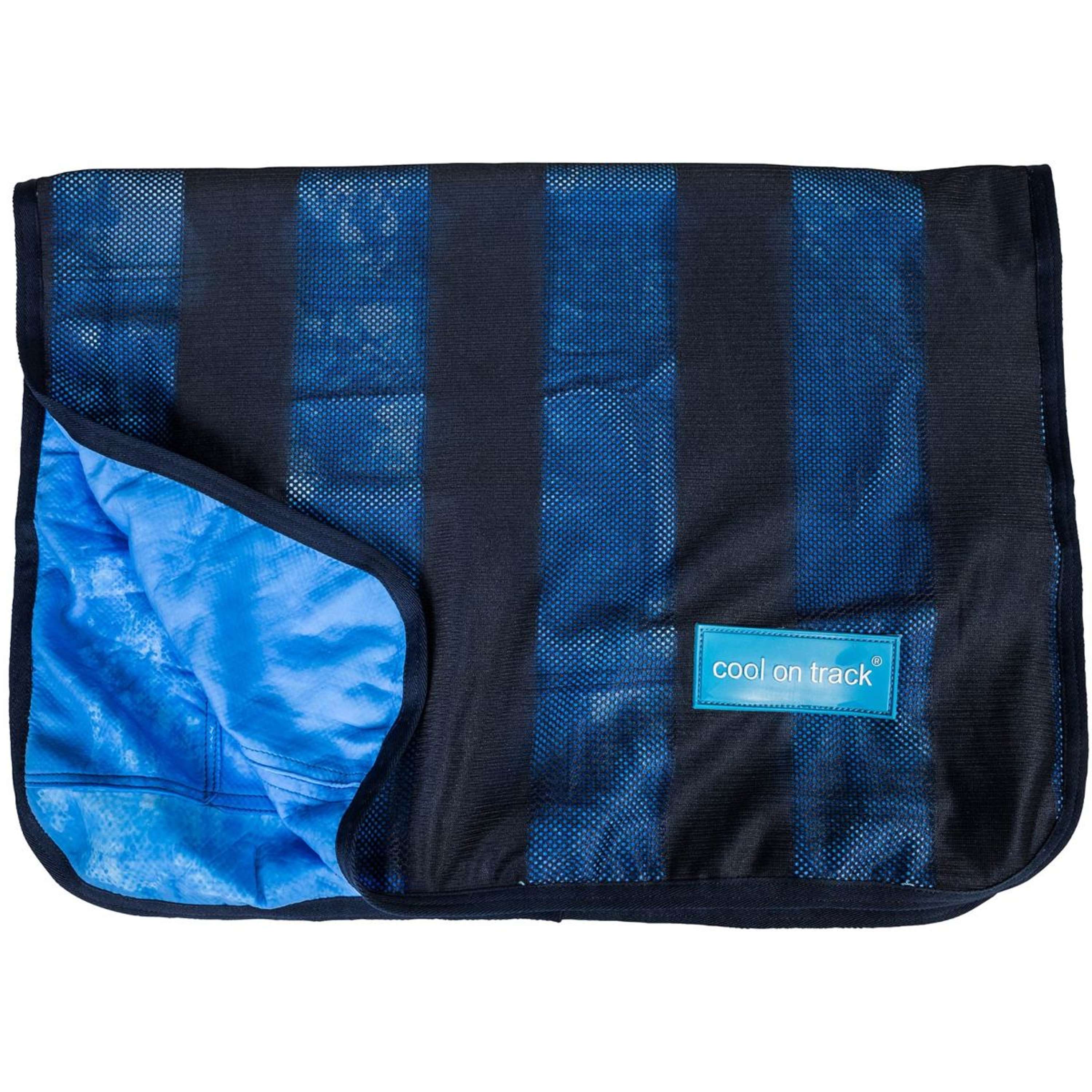 Back on Track Cooling Towel Blau - Image 3