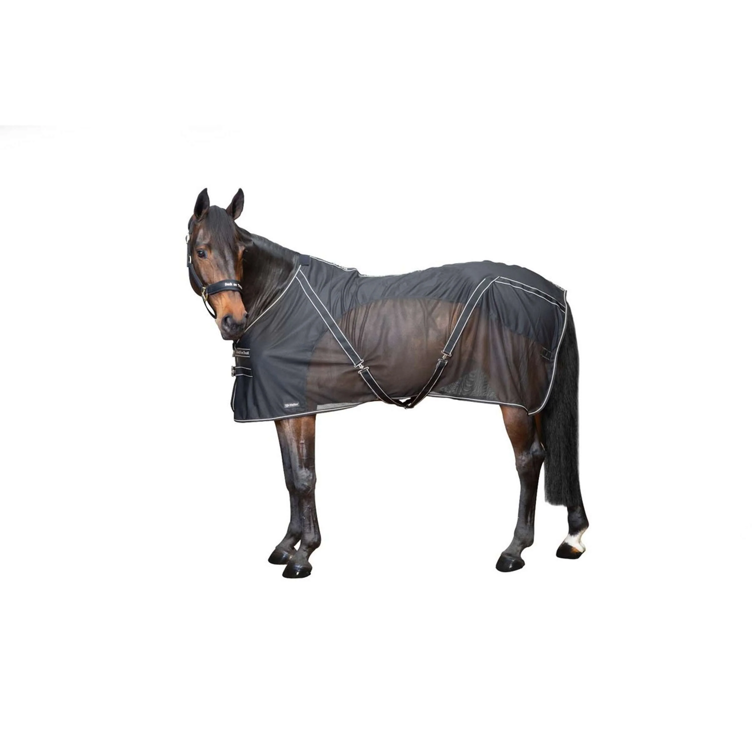 Back on Track Fliegendecke Sienna Schwarz - Image 7