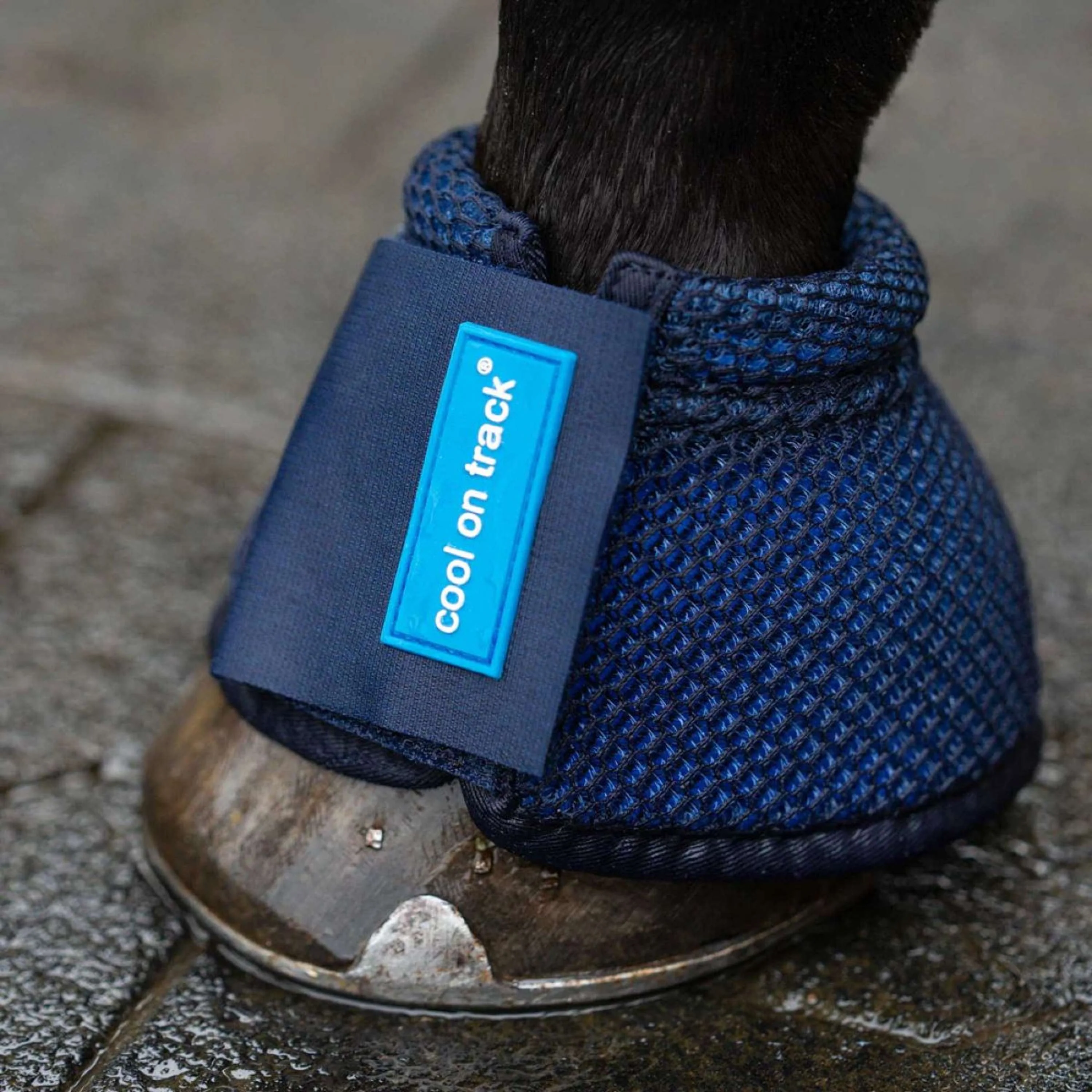 Back on Track Hufglocken Cooling Blau - Image 4