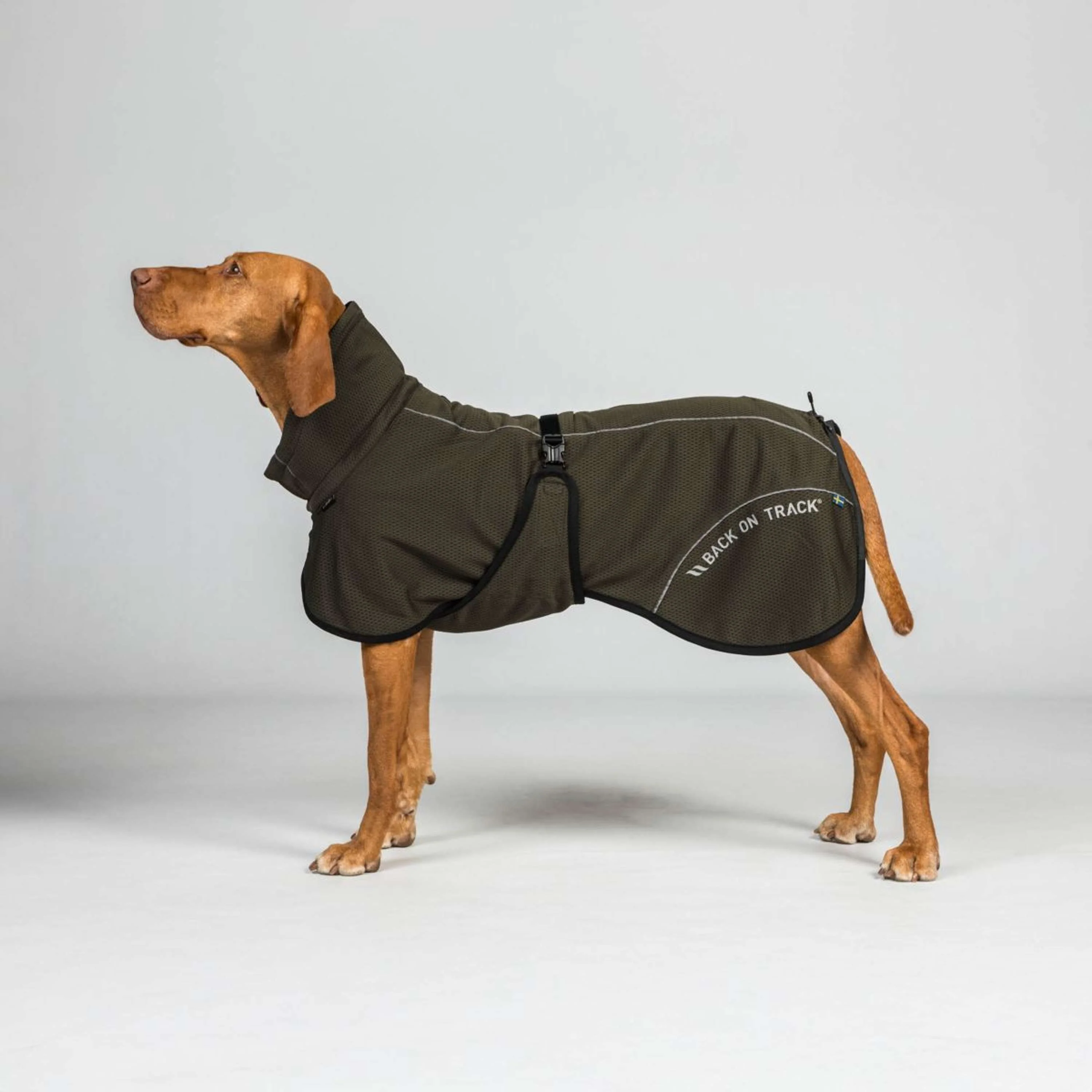 Back on Track Hundejacke BAY Mesh Olive - Image 5