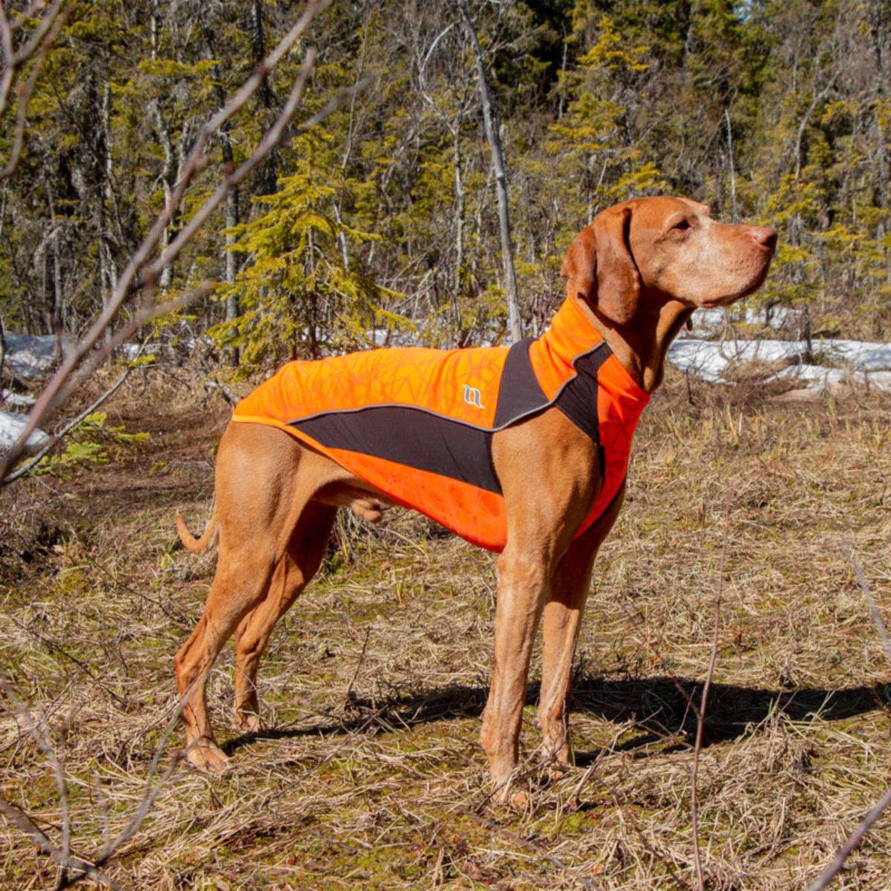 Back on Track Hundejacke Eddie High Visibility Orange - Image 9