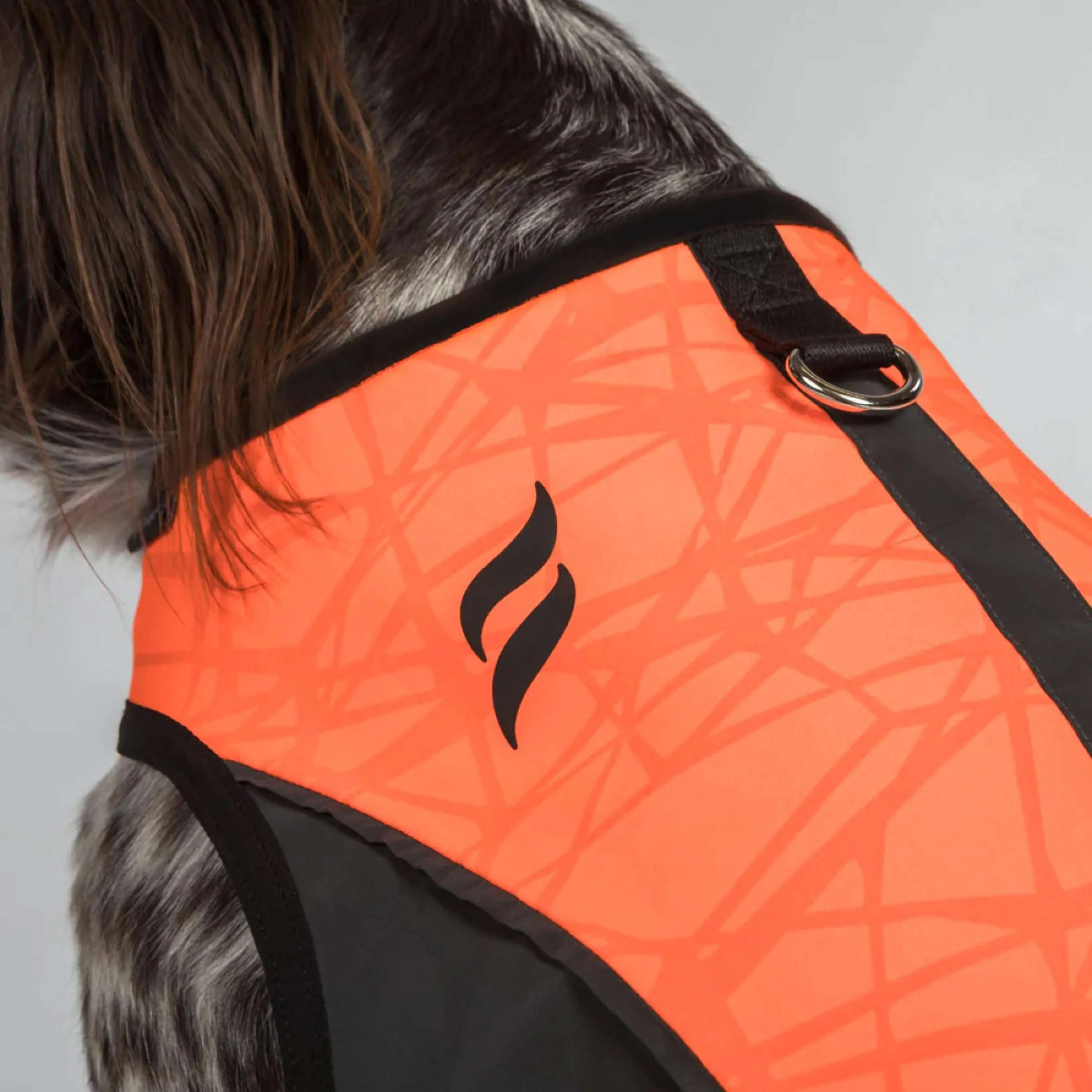 Back on Track Hundejacke TRAKK Reflektierend Orange - Image 3