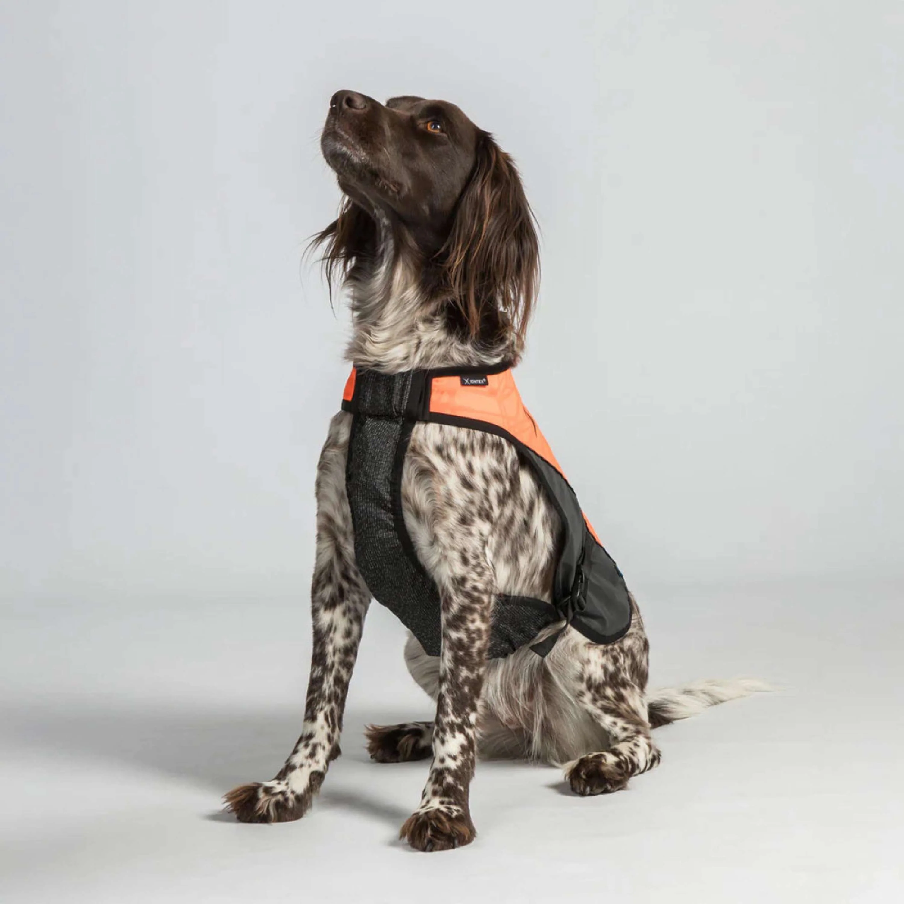 Back on Track Hundejacke TRAKK Reflektierend Orange - Image 4