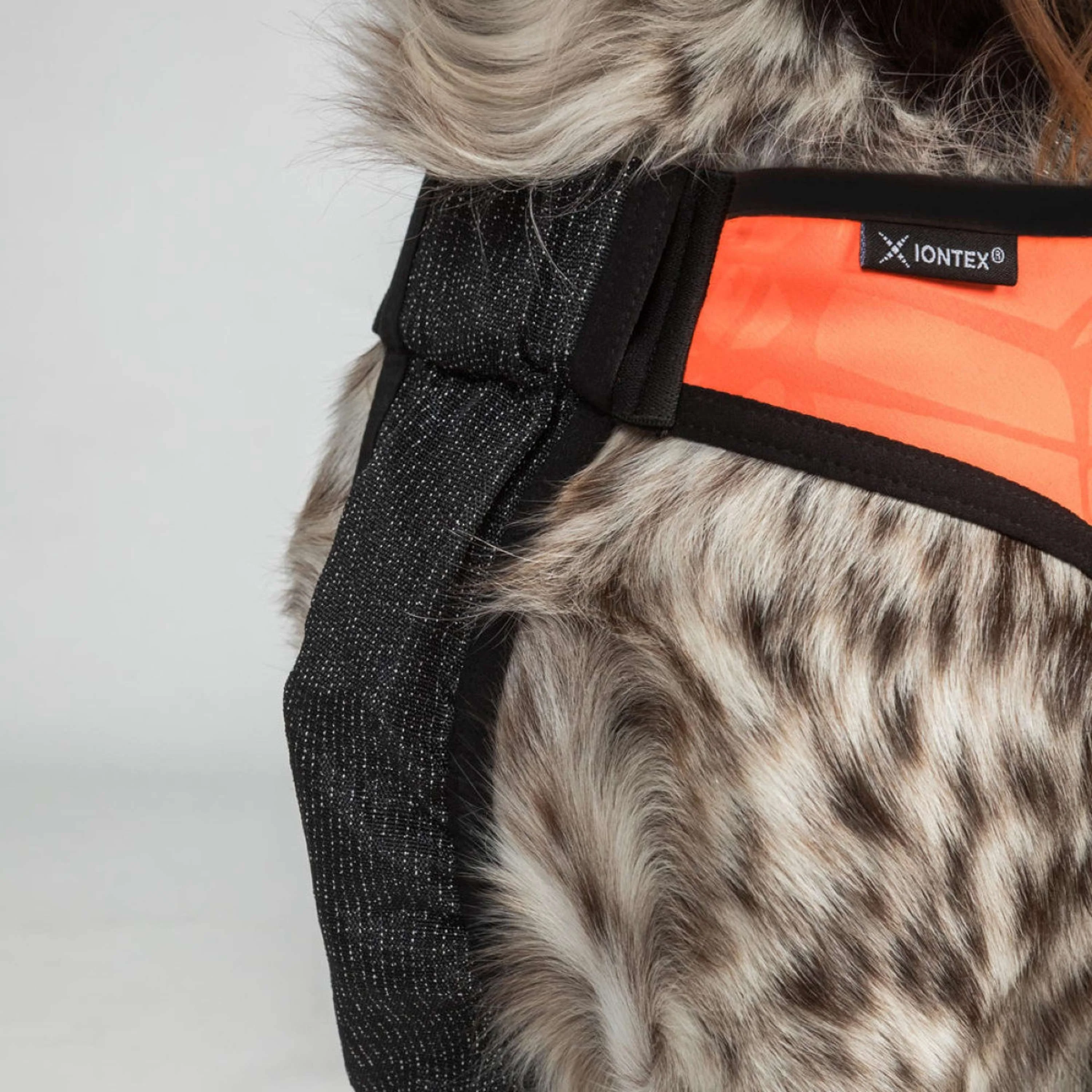 Back on Track Hundejacke TRAKK Reflektierend Orange - Image 5