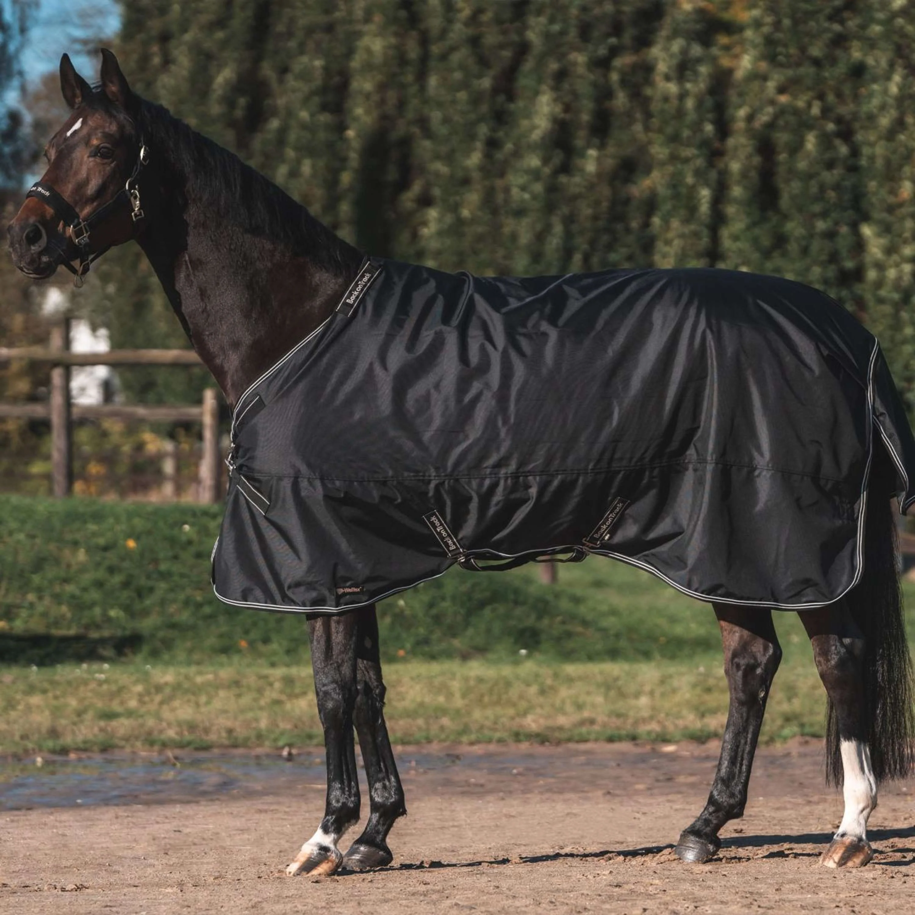 Back on Track Outdoordecke Obsidian 150g mit Abnehmbarem Hals Schwarz - Image 3