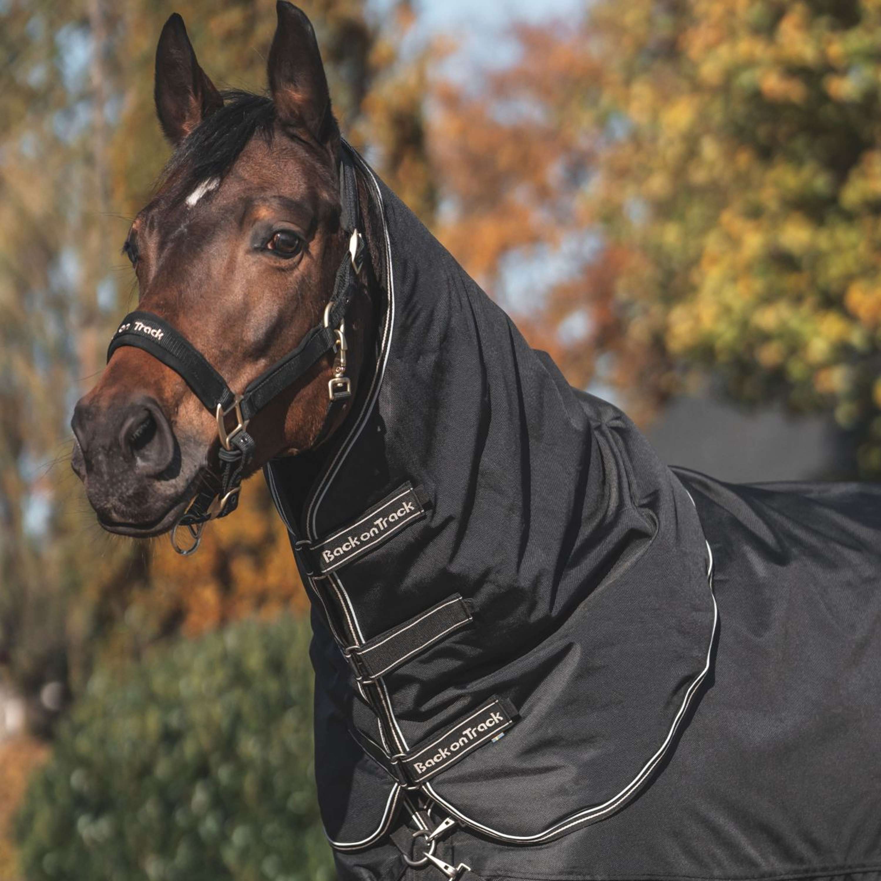Back on Track Outdoordecke Obsidian 300g mit Abnehmbarem Hals Schwarz - Image 2