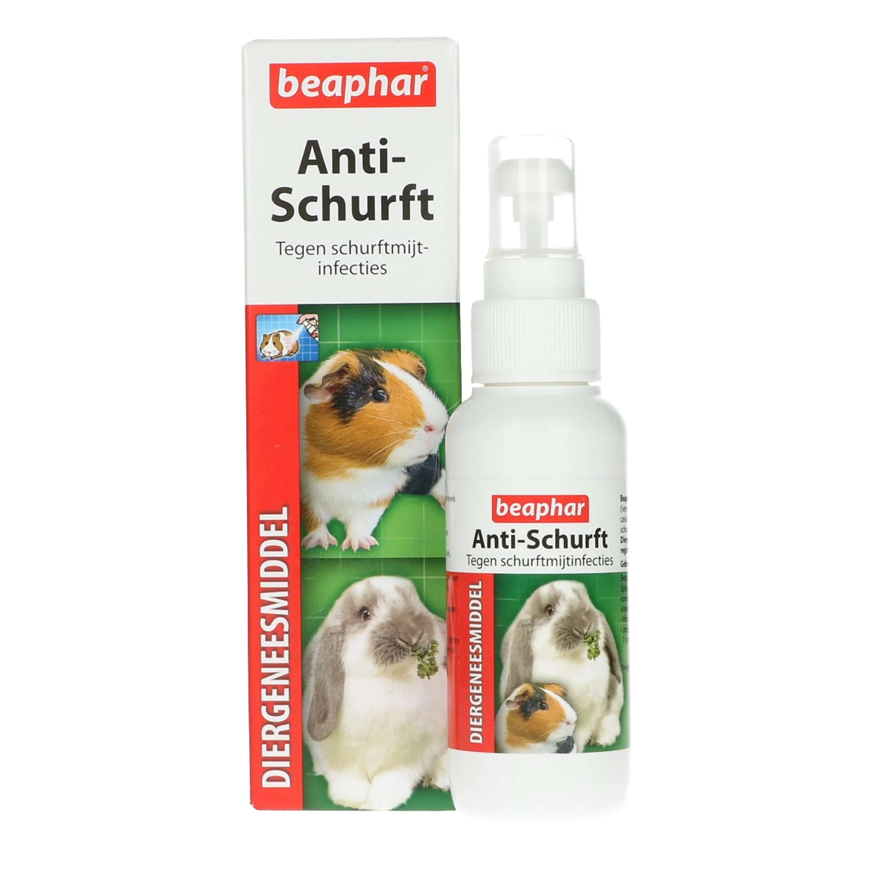 Vorschaubild 1