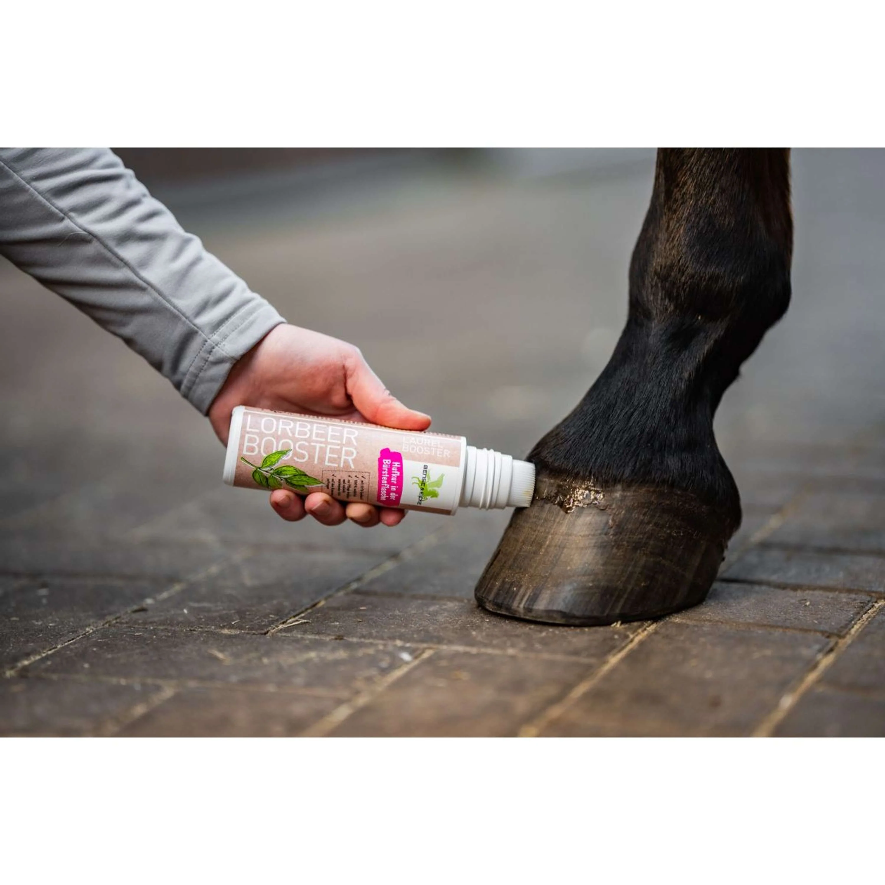 Bense & Eicke LorbeerBooster - Image 2