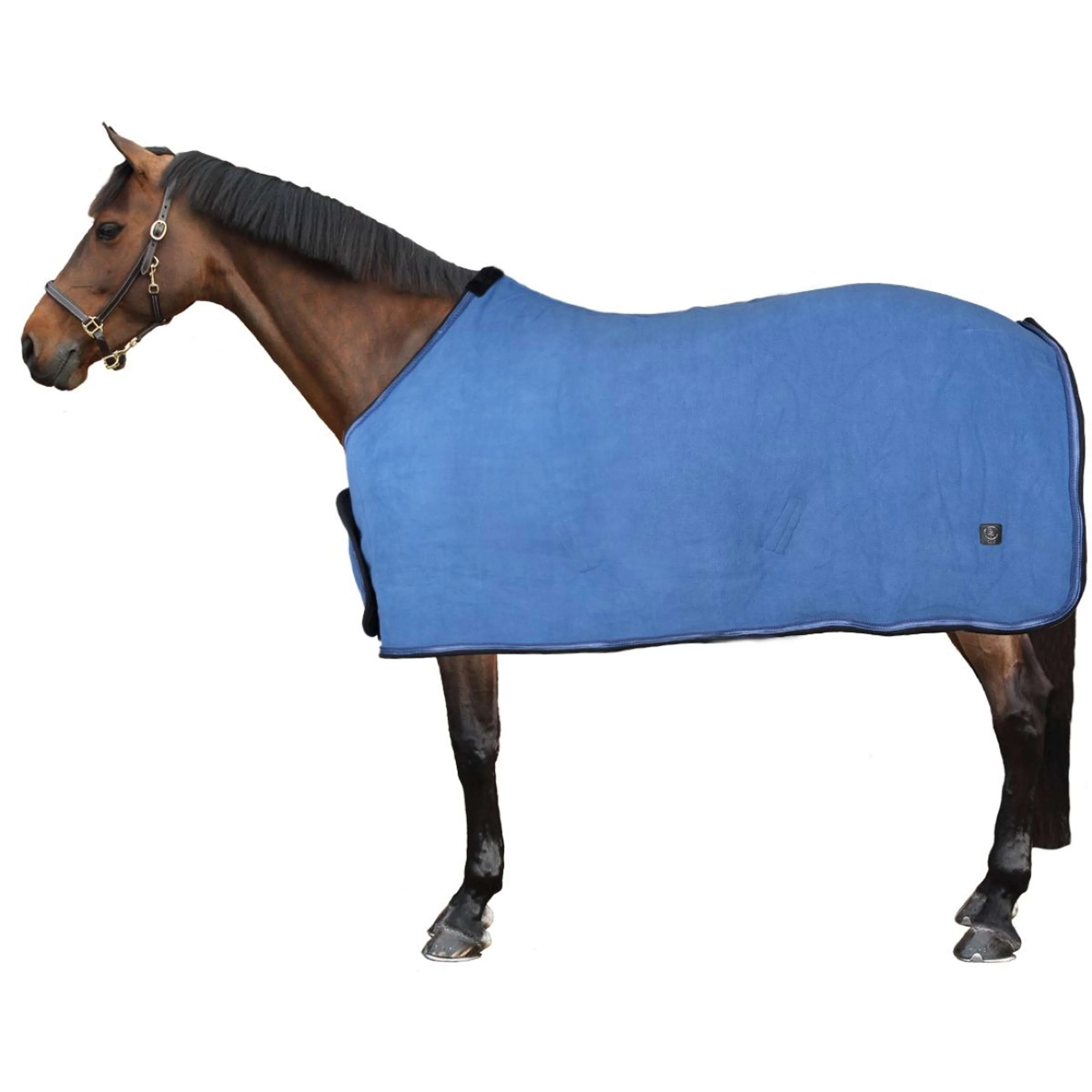 BR Fleecedecke CLX 240g Moonlight Blue