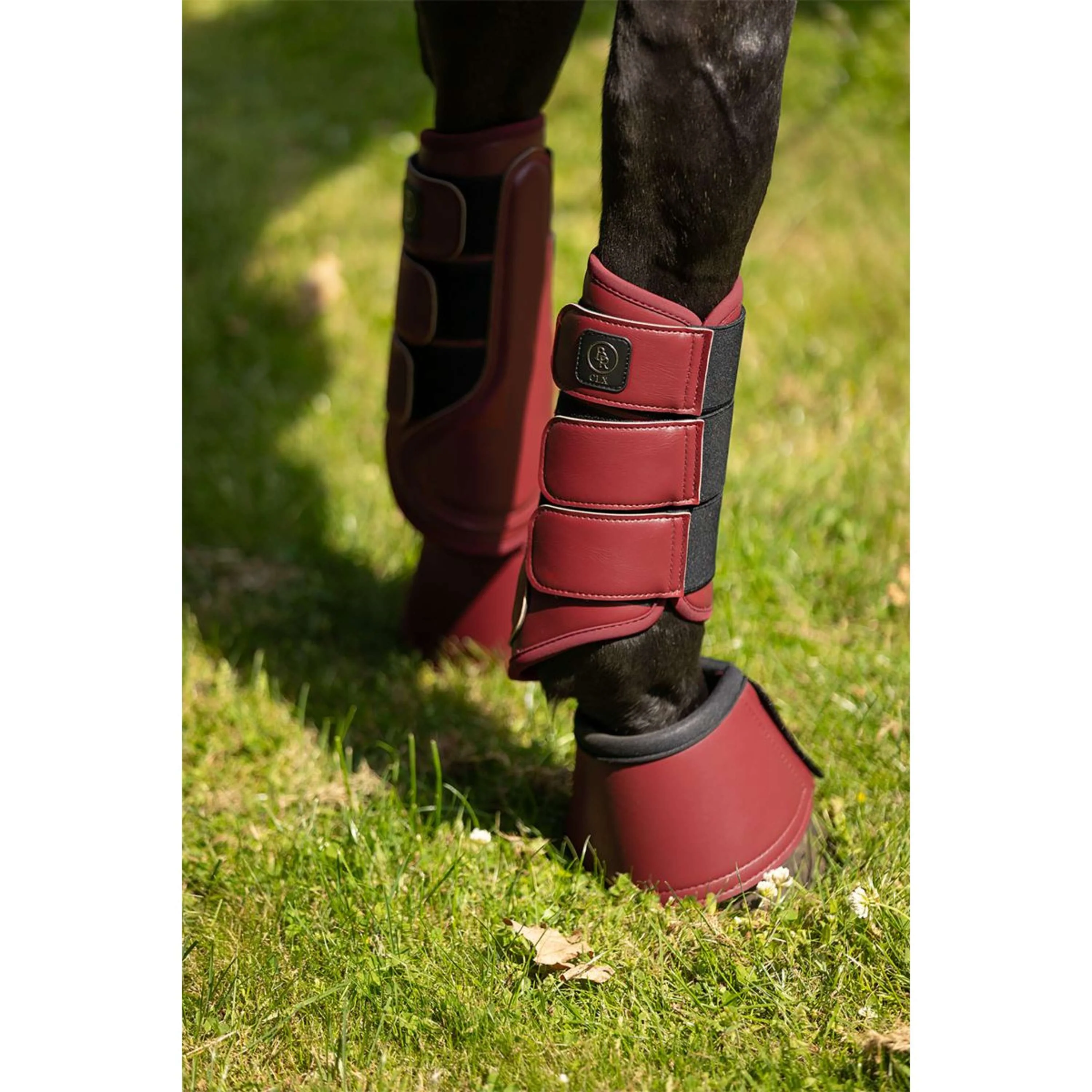 BR Gamaschen CLX Majestic Cabernet - Image 3