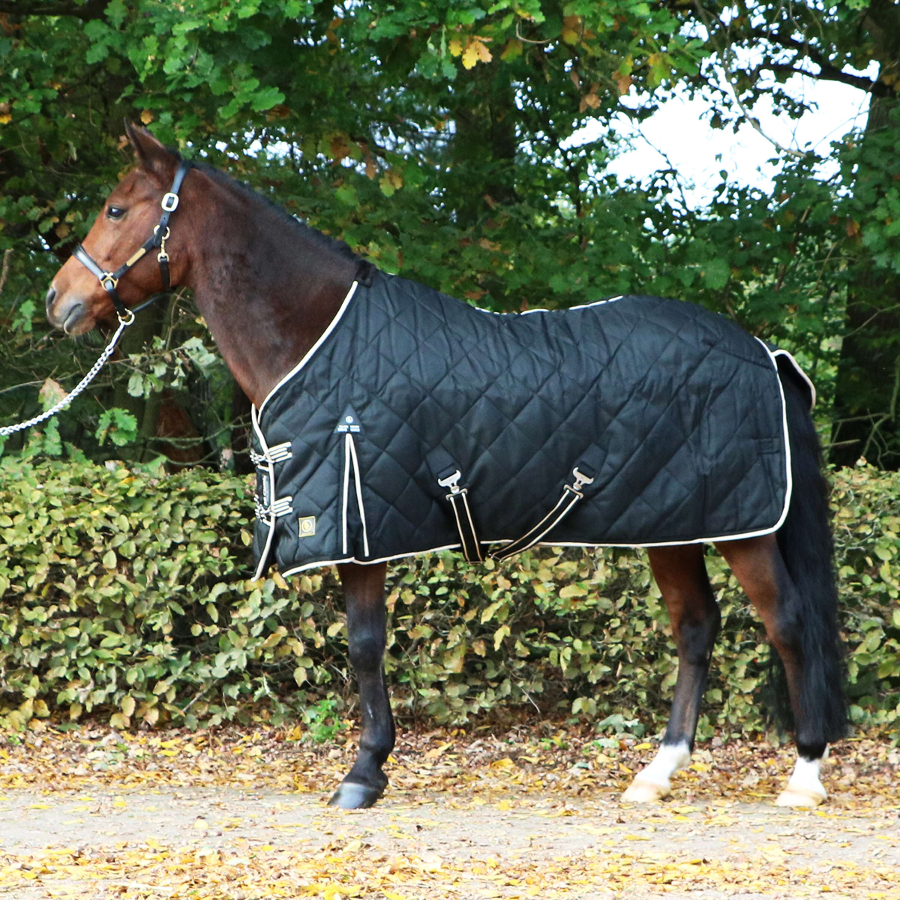 BR Stalldecke Classic 1200D - 300g Schwarz - Image 9