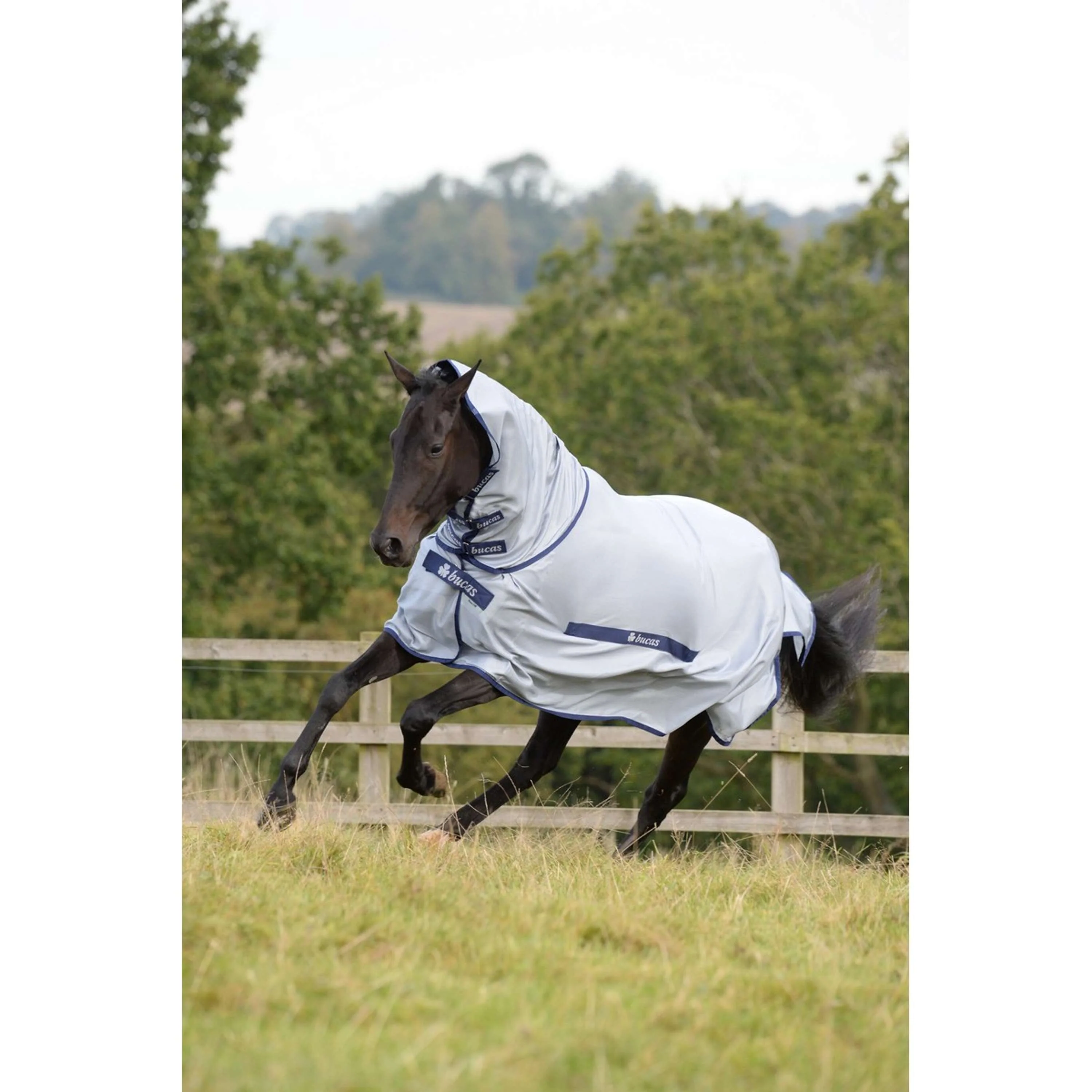 Bucas Buzz-Off & Neck Blau - Image 4