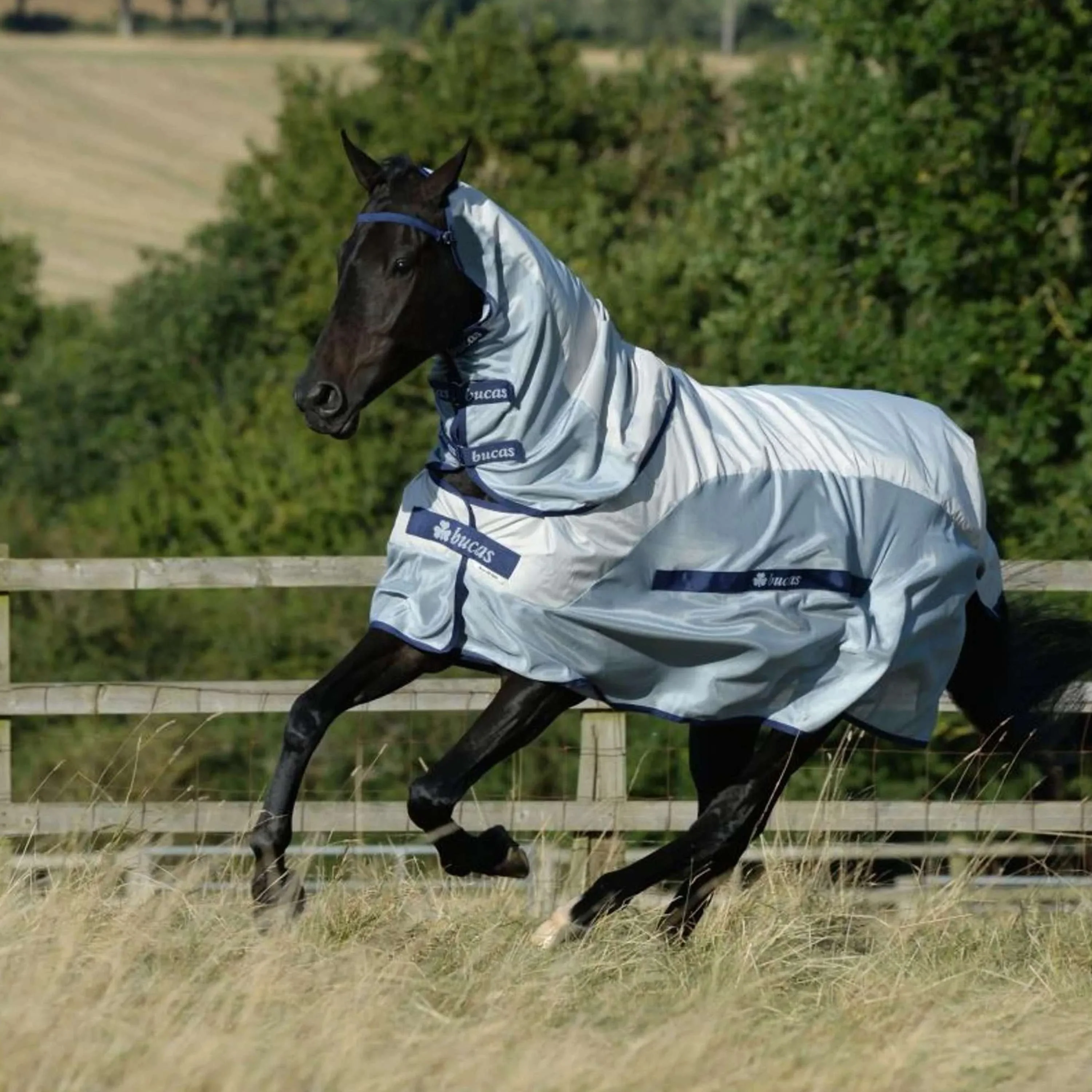 Bucas Buzz-Off Rain & Neck 0g Silber/Blau - Image 2