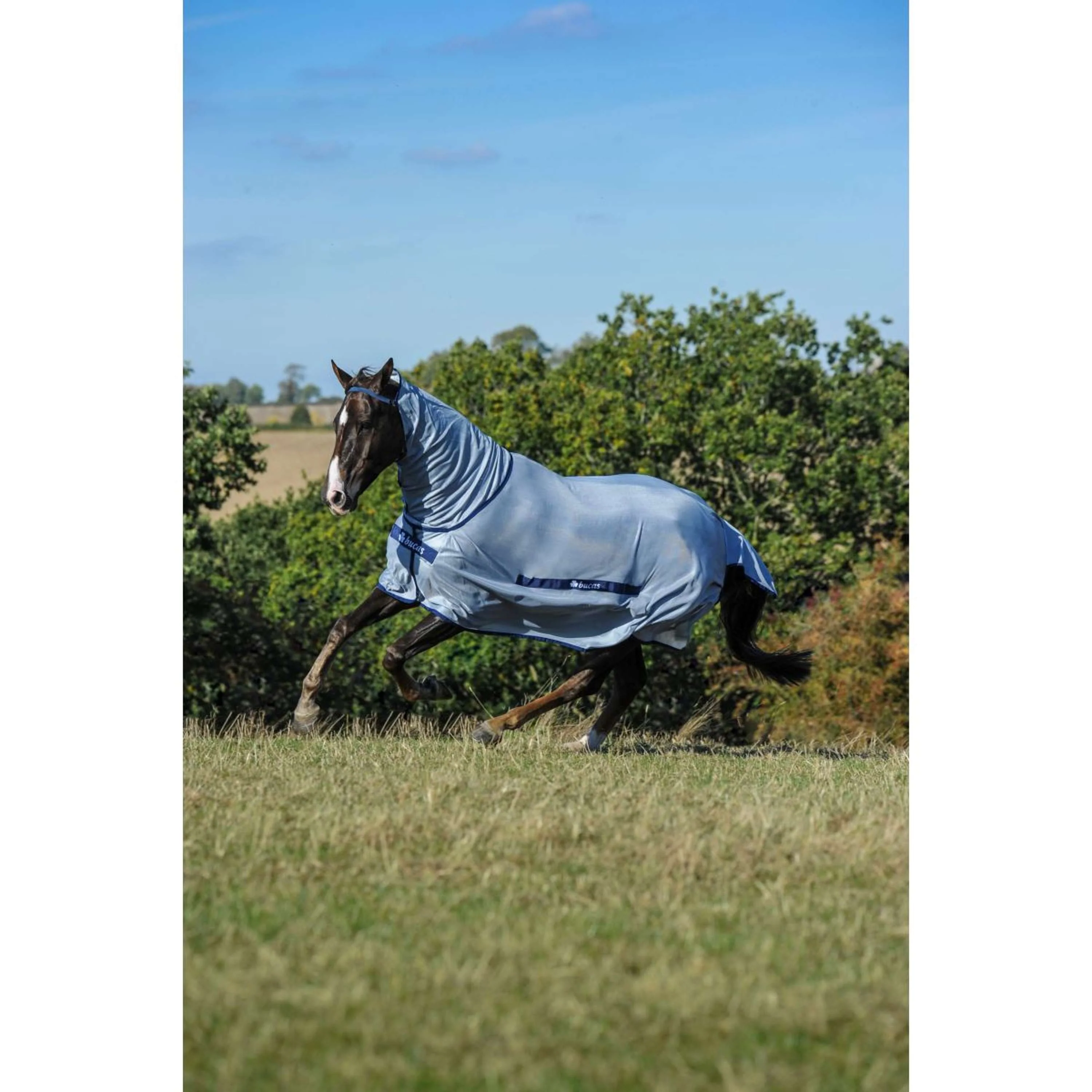 Bucas Buzz-Off Full Neck Blau - Image 3