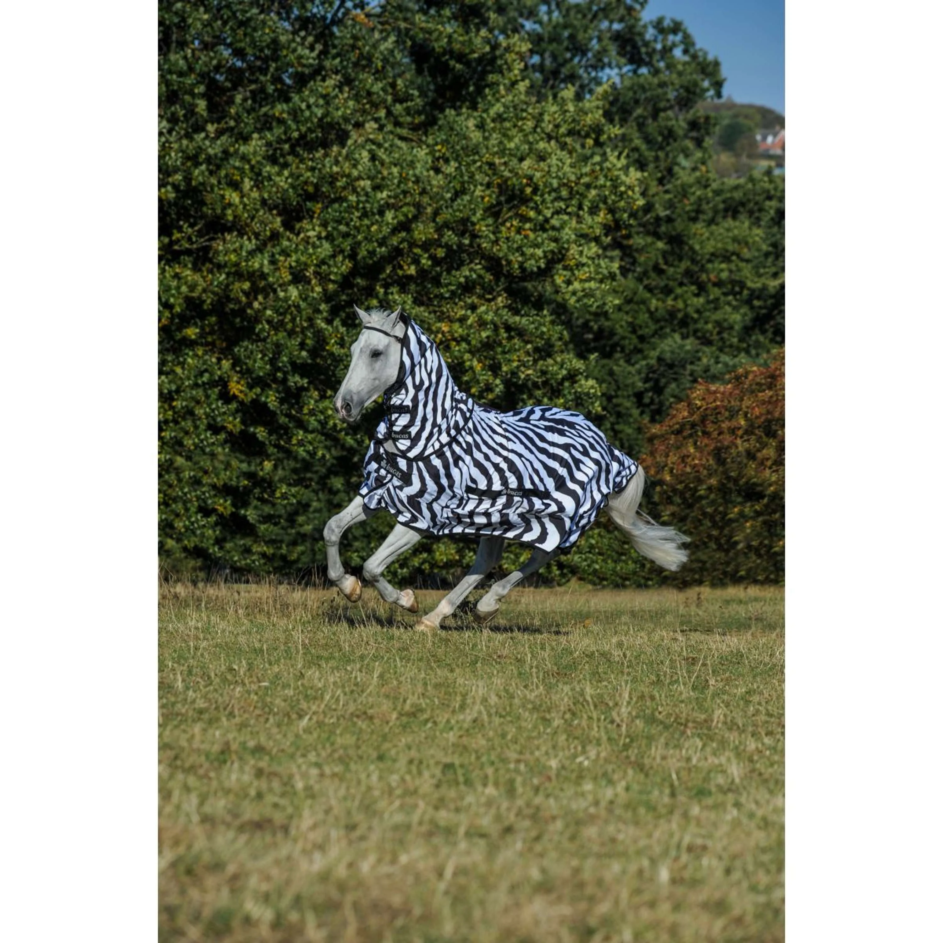 Bucas Ekzemdecke Sweet Itch Zebra - Image 3