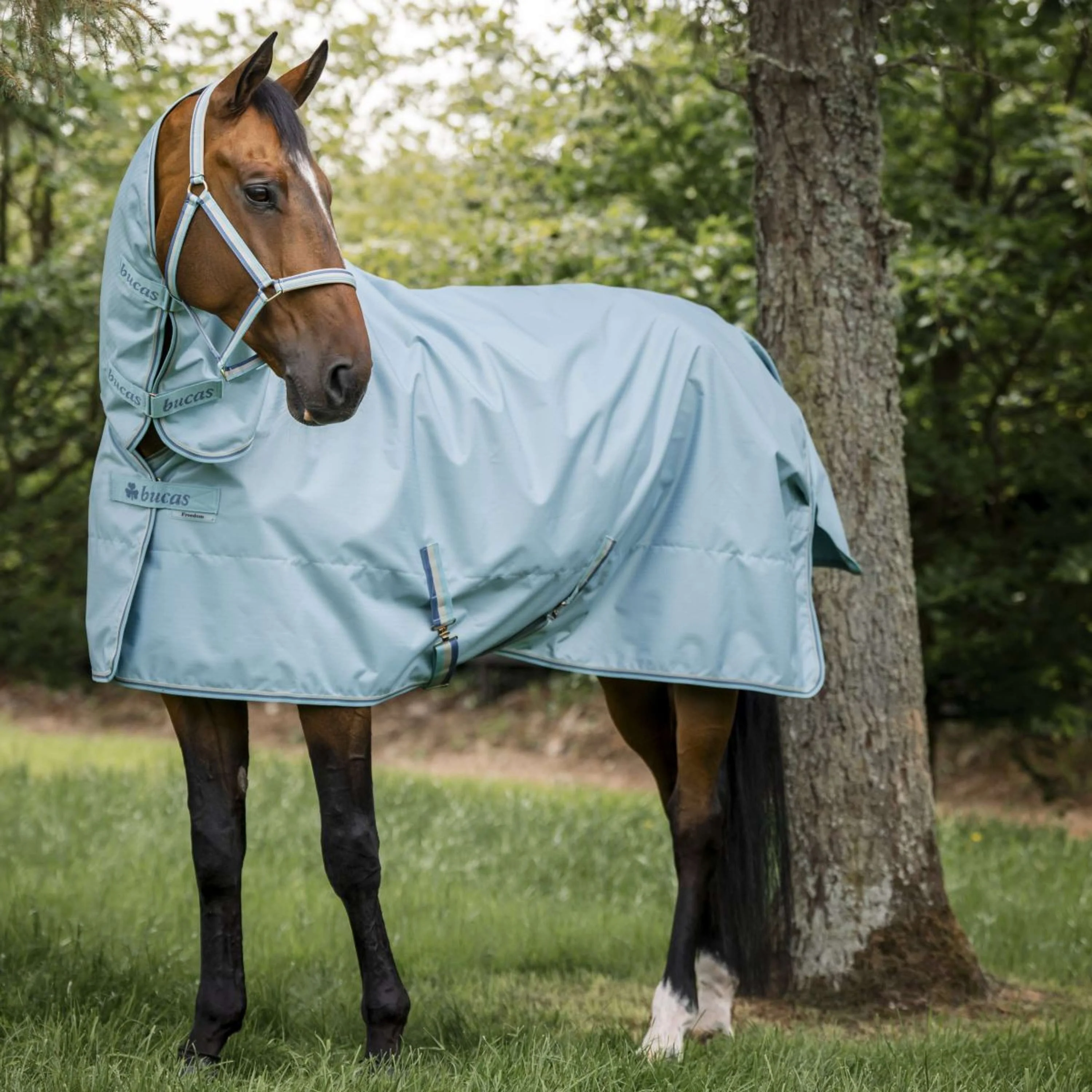 Bucas Freedom Turnout Full Neck 0g Turquoise - Image 4