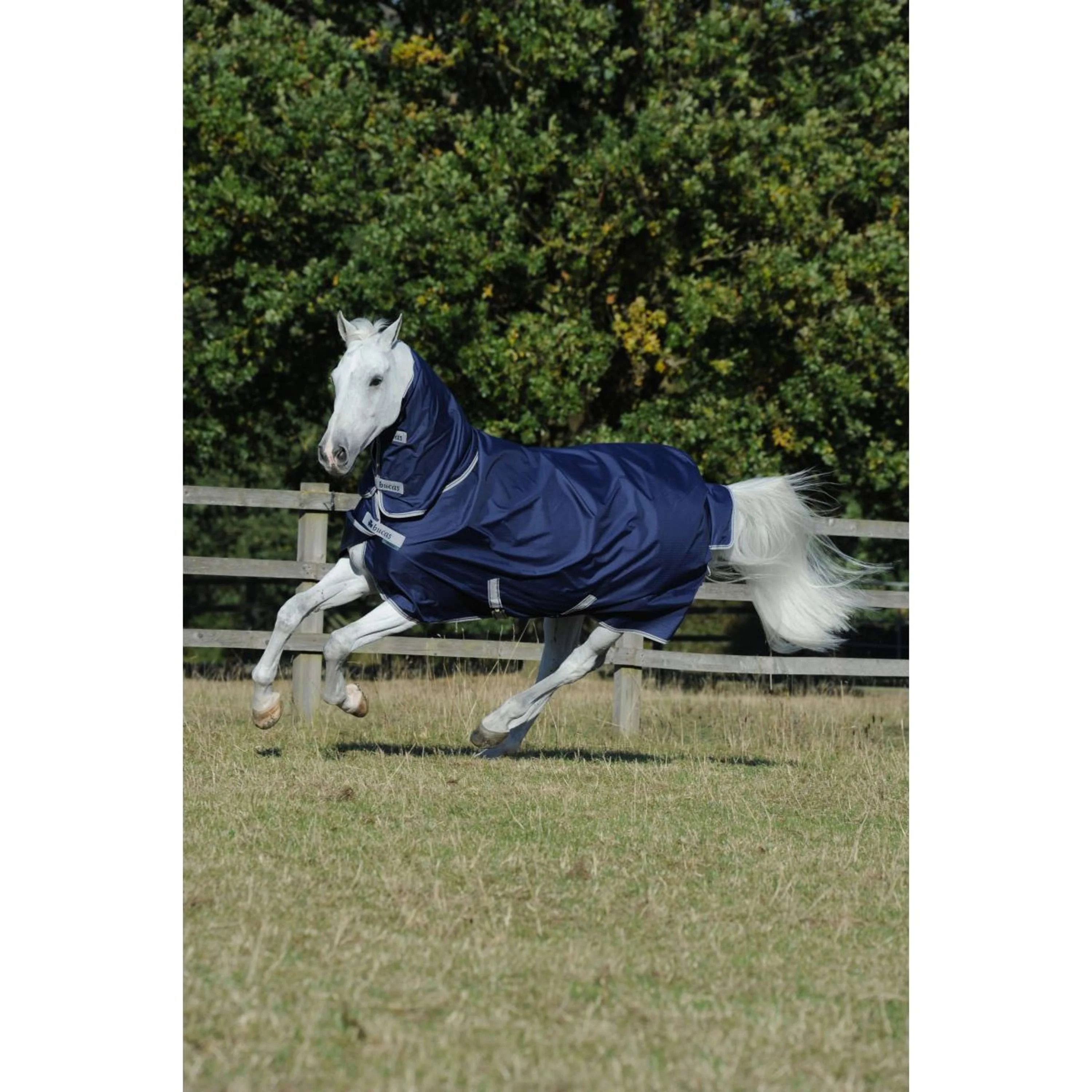 Bucas Freedom Turnout Full Neck 300g Navy/Silber - Image 2