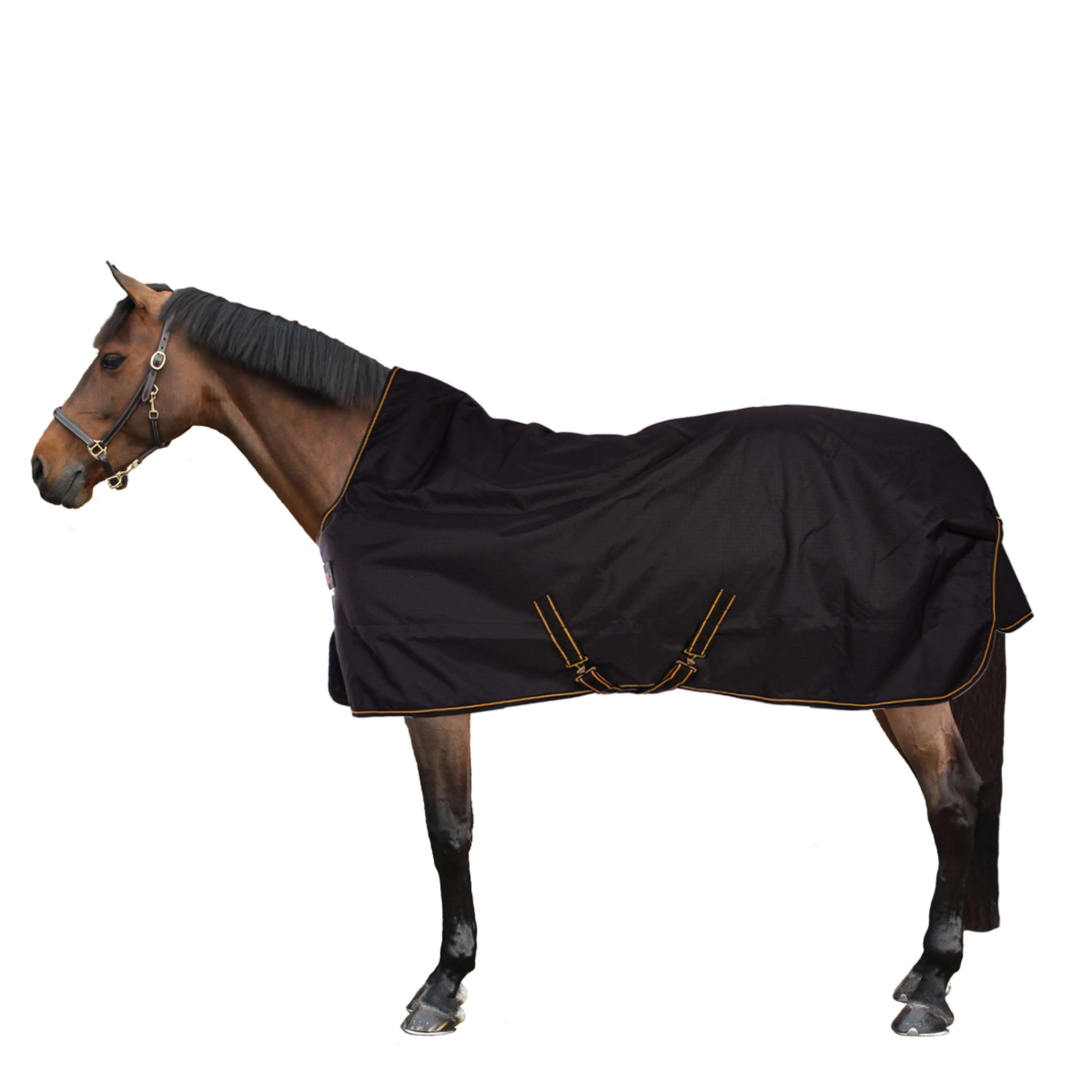 Bucas Irish Turnout Extra High Neck 300g Schwarz/Gold - Image 2