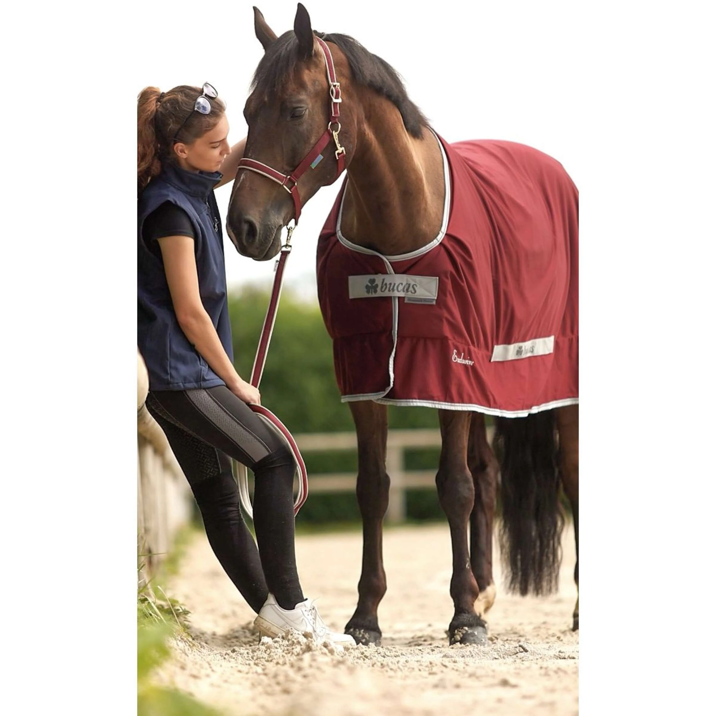 Bucas Lead Rein Dublin Padded Wine/Silver - Image 3
