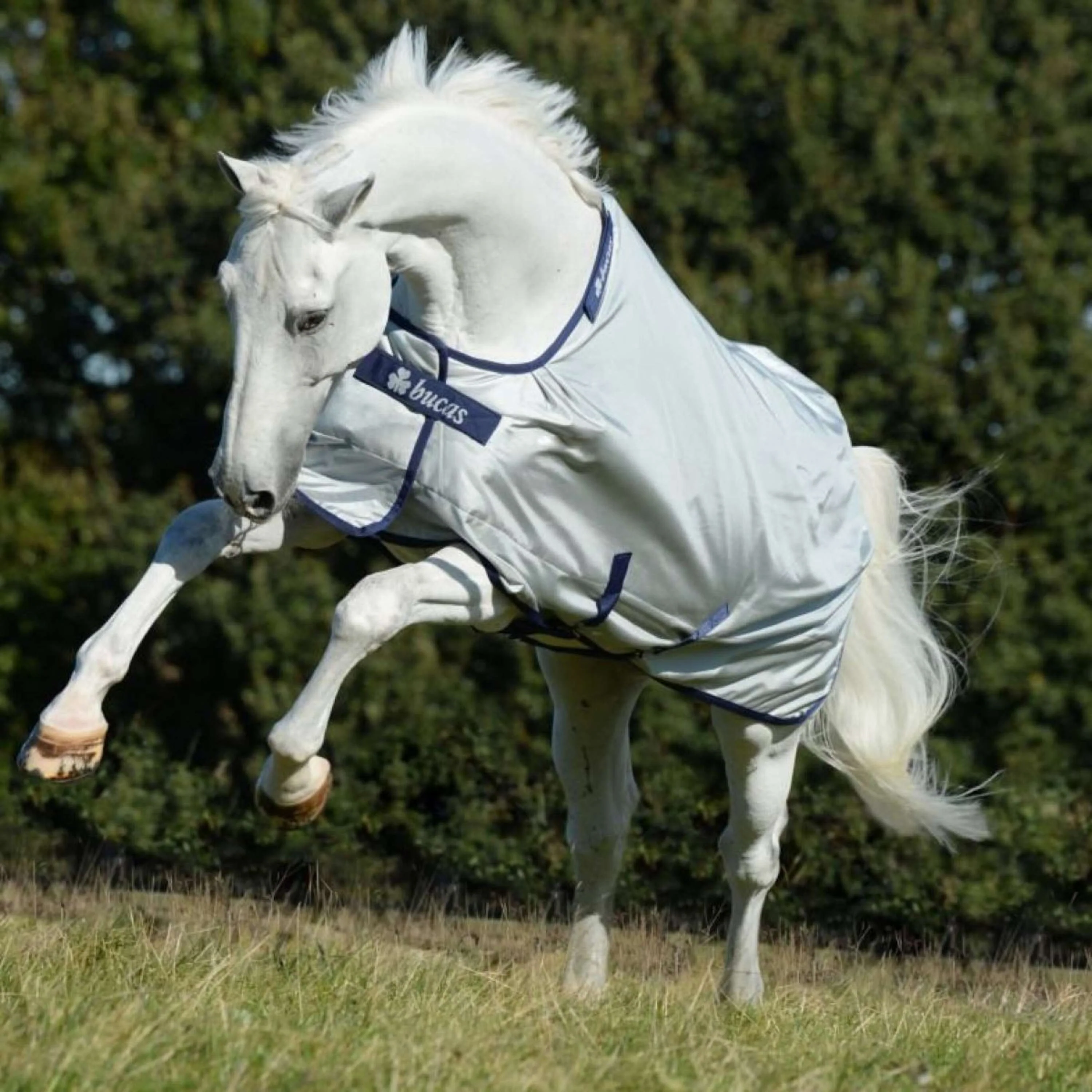 Bucas Power Turnout Extra Classic 300g Silber - Image 2
