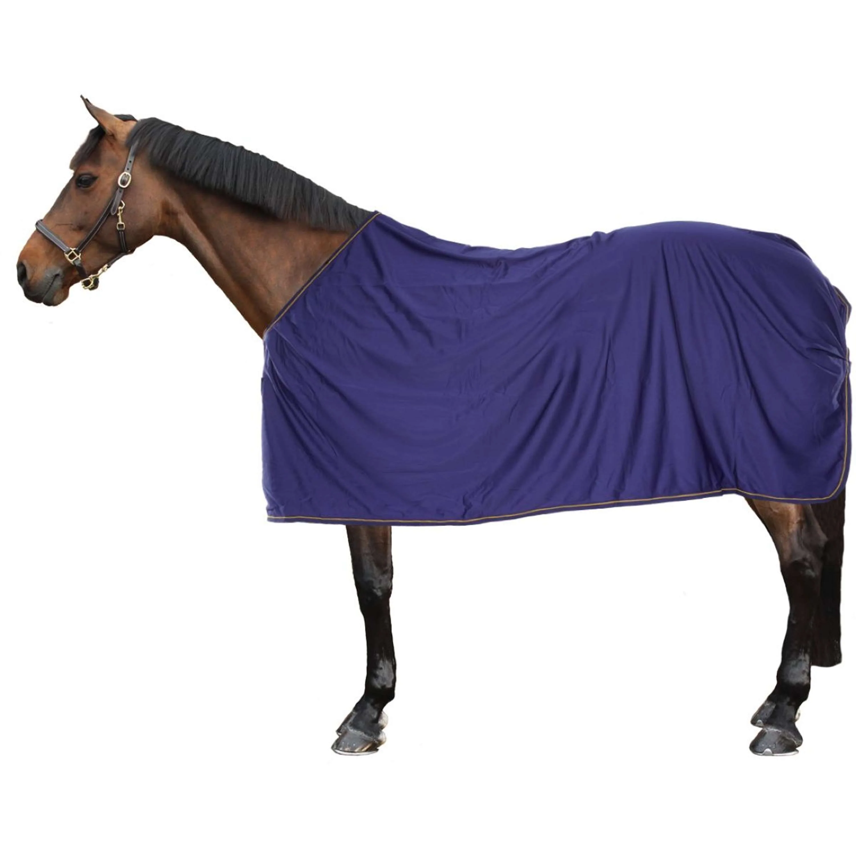 Bucas Prize Cooler Navy/Gold - Image 2