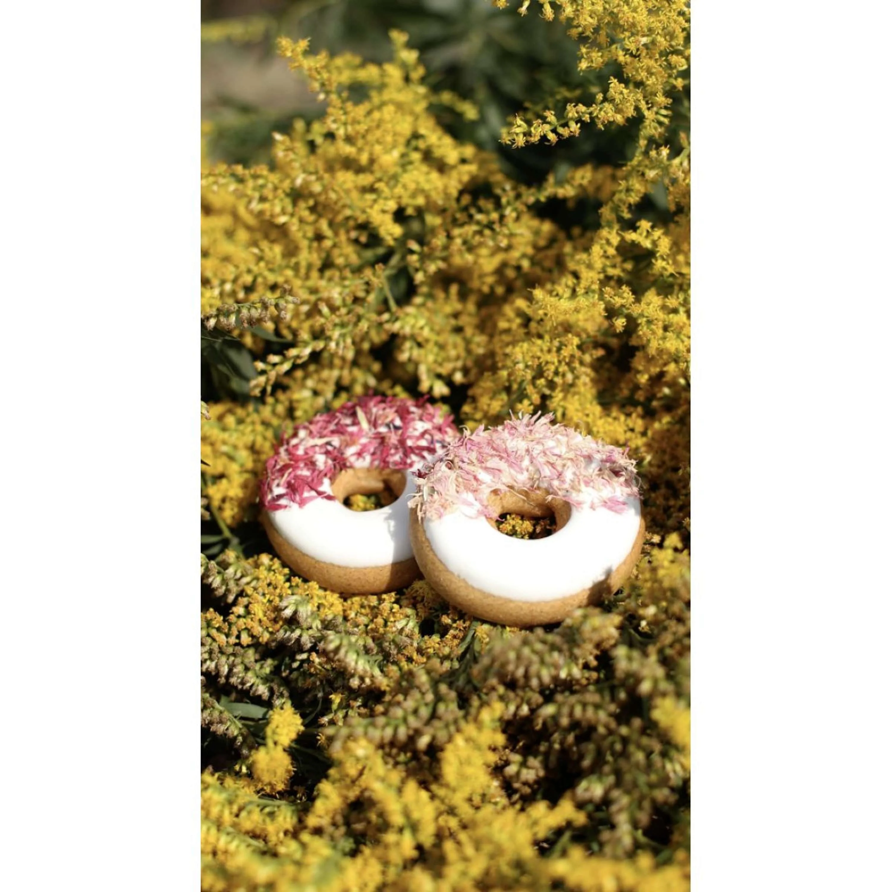 Candy Horse Donut Pink Cornflower - Image 2