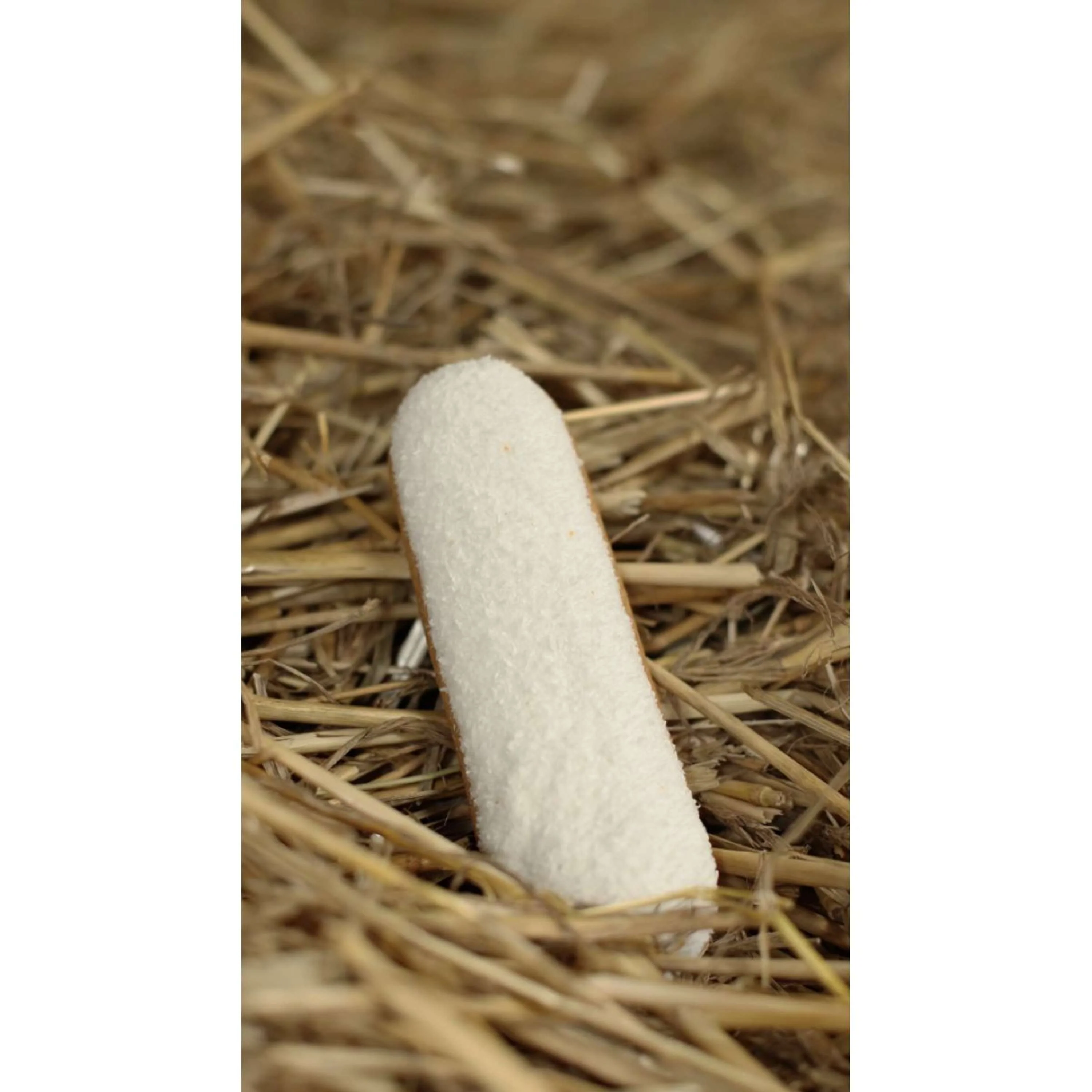 Candy Horse Kekse Coconut Eclair - Image 2