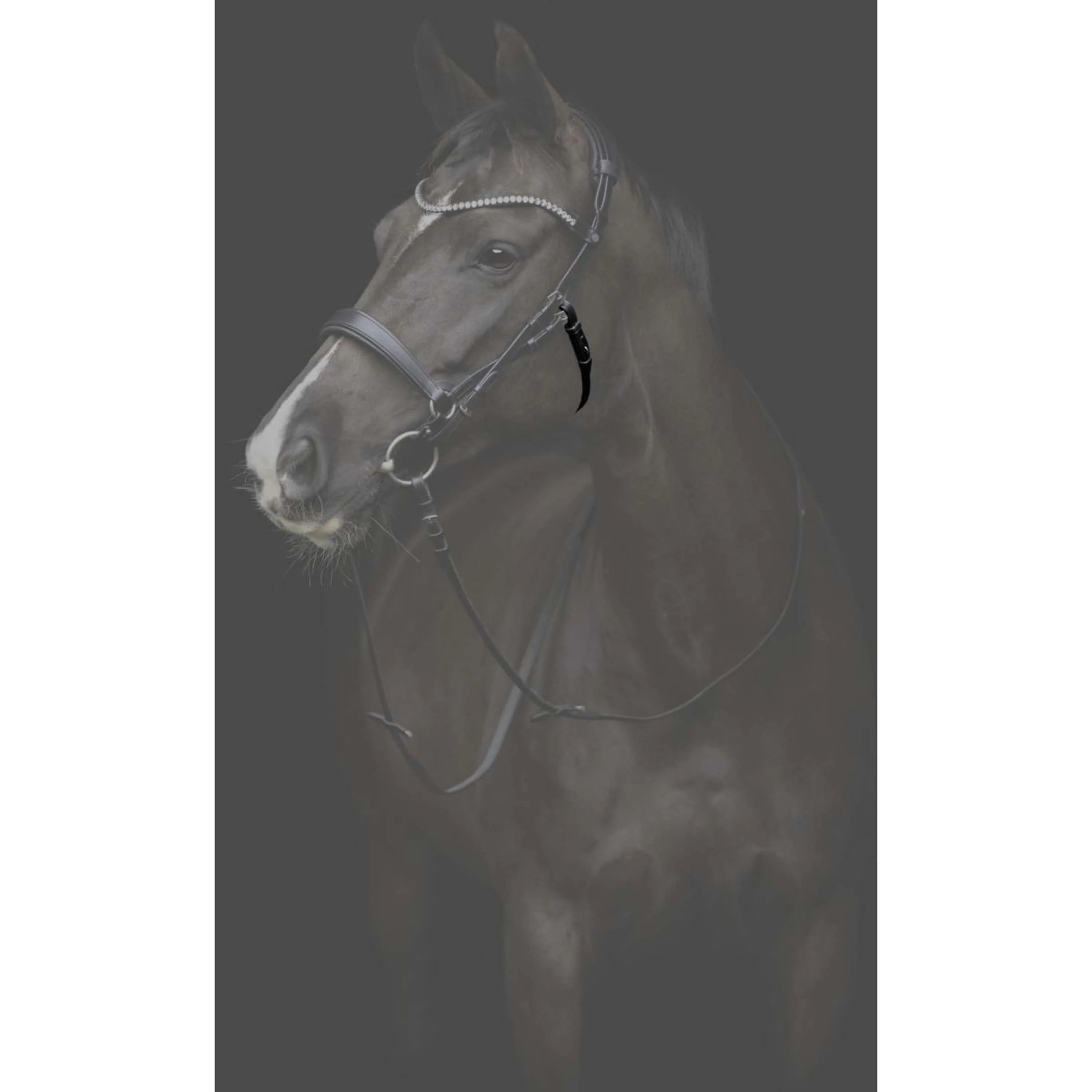 Catago Kehlriemen Gentle Schwarz - Image 2
