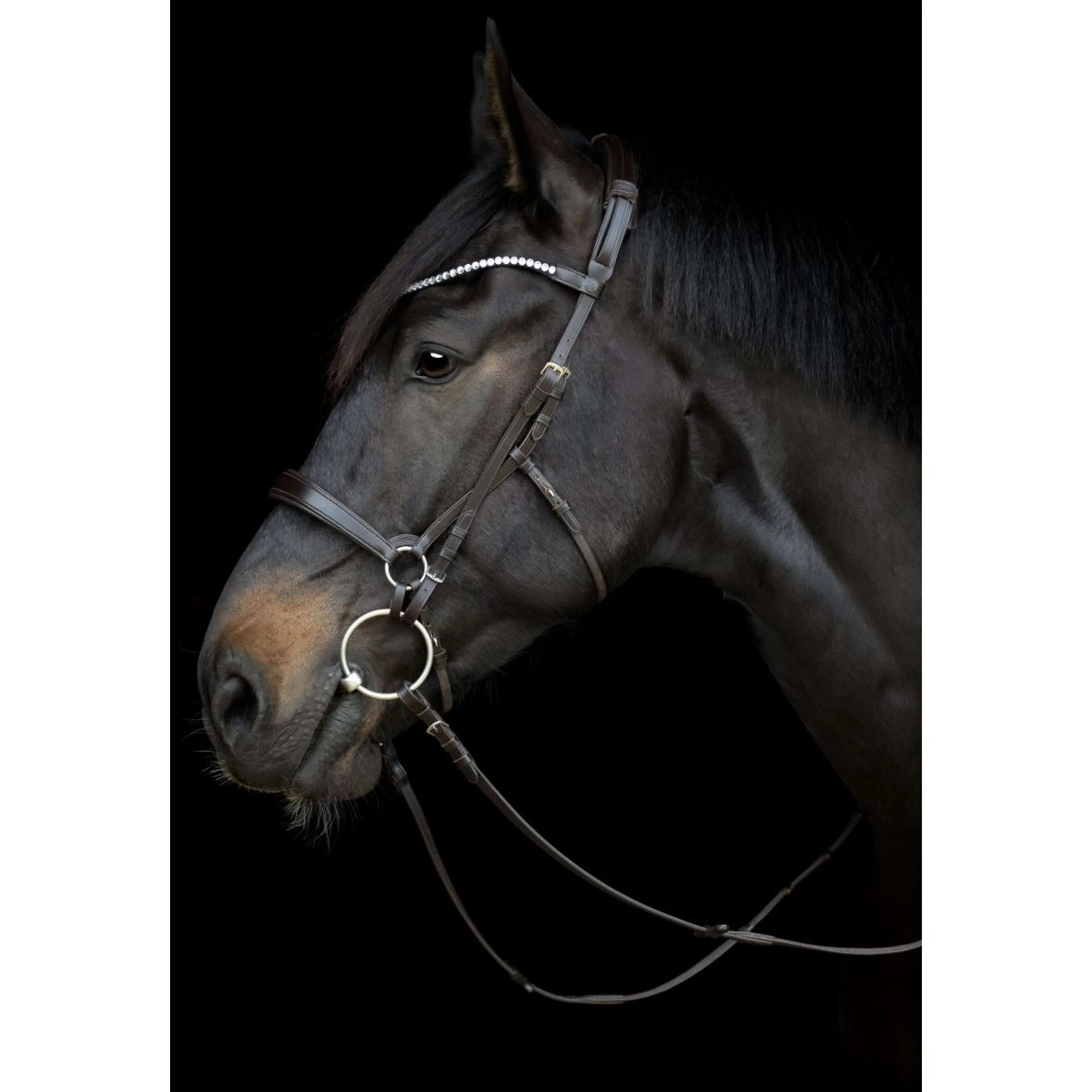 Catago Kehlriemen Gentle Schwarz - Image 5