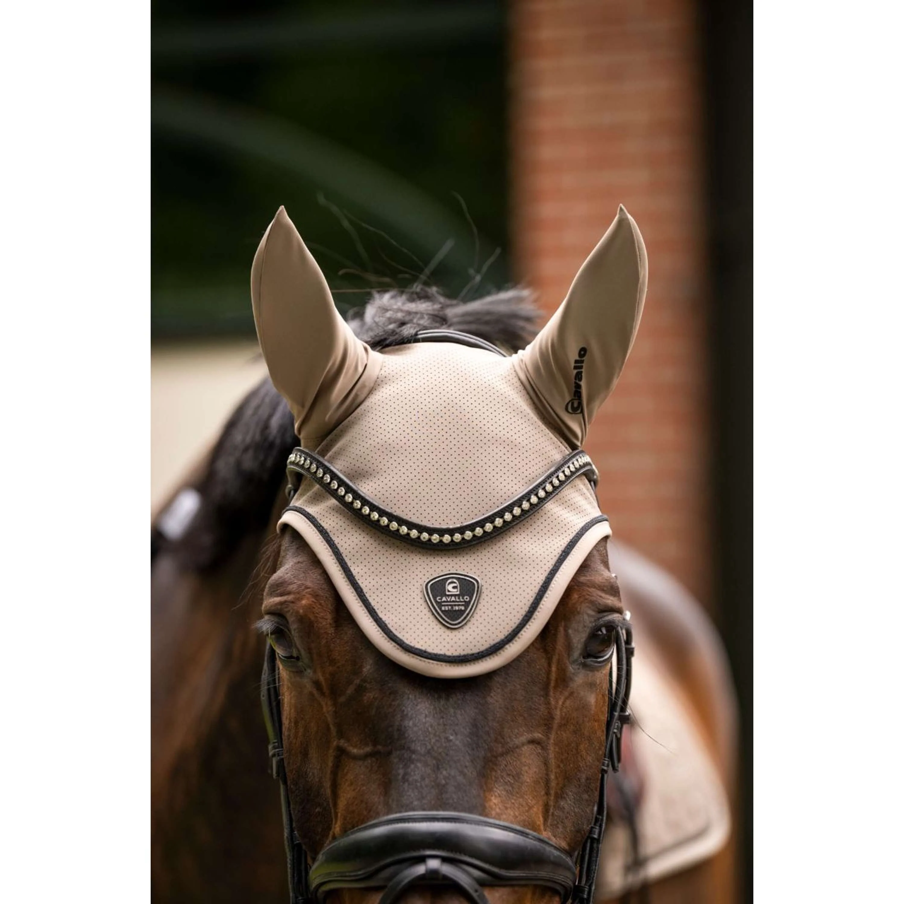 Cavallo Fliegenhaube CavalJackie Mocha Latte - Image 2