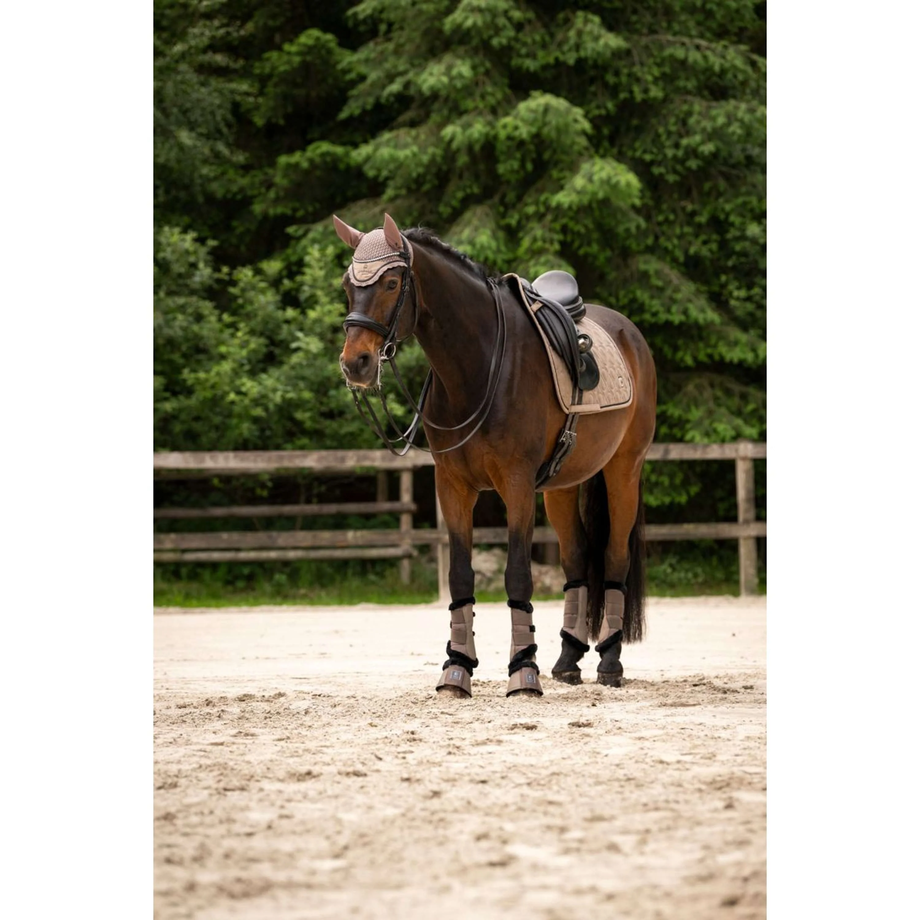 Cavallo Fliegenhaube CavalPerla Mocha Latte - Image 2