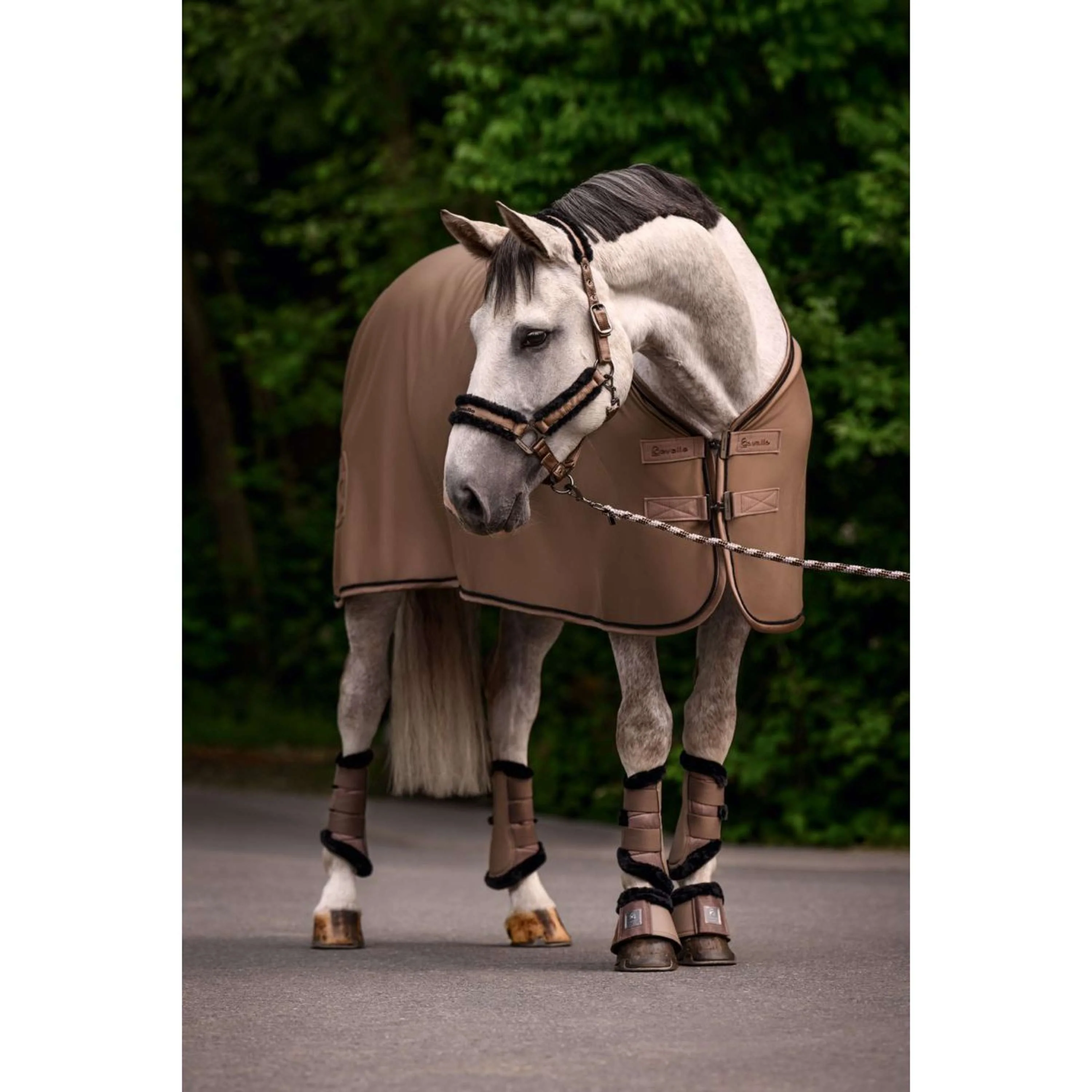 Cavallo Führstrick CavalJace mit Karabinerhaken Mocha Latte - Image 2